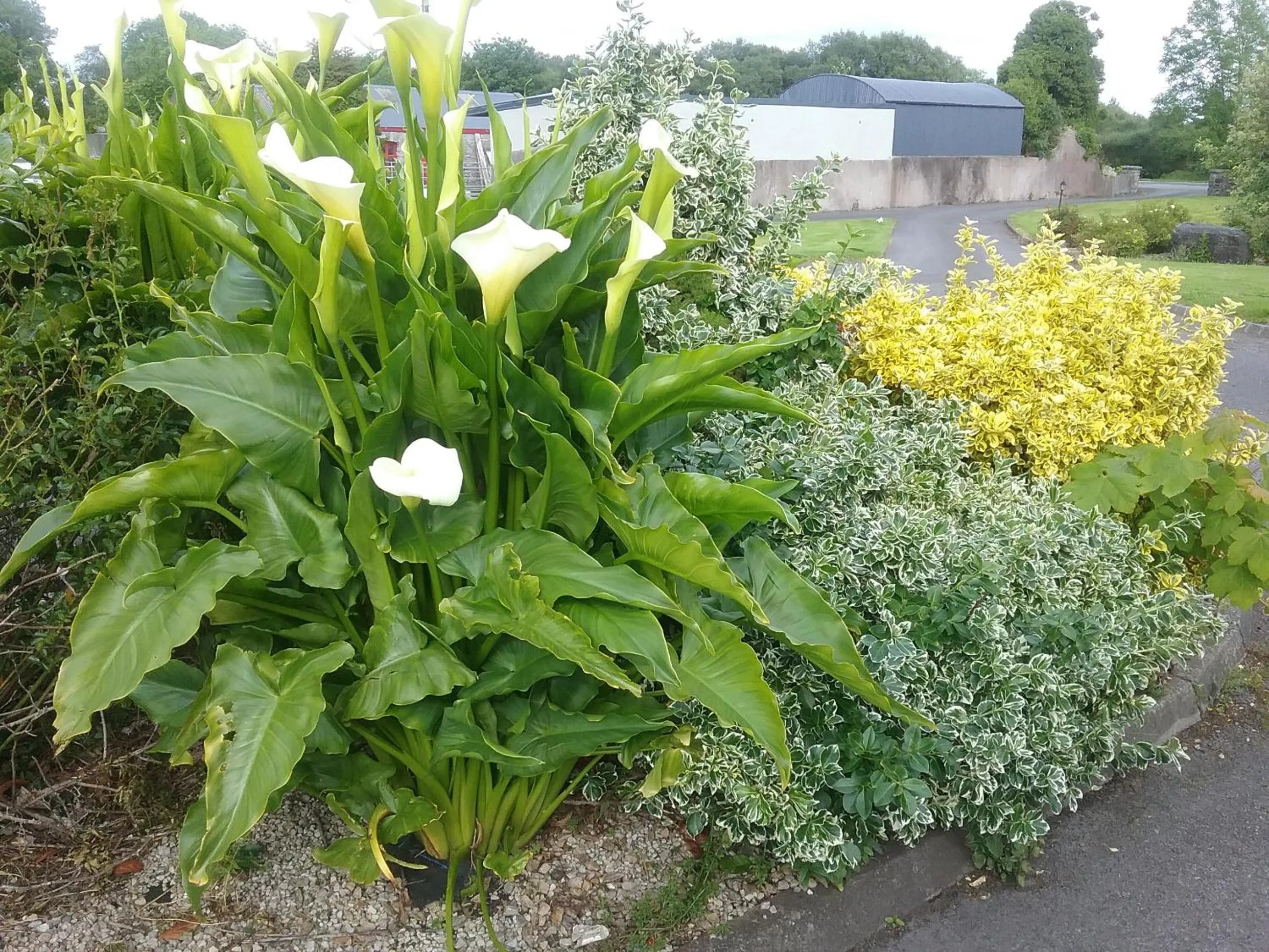 Rocksberry Bed & Breakfast