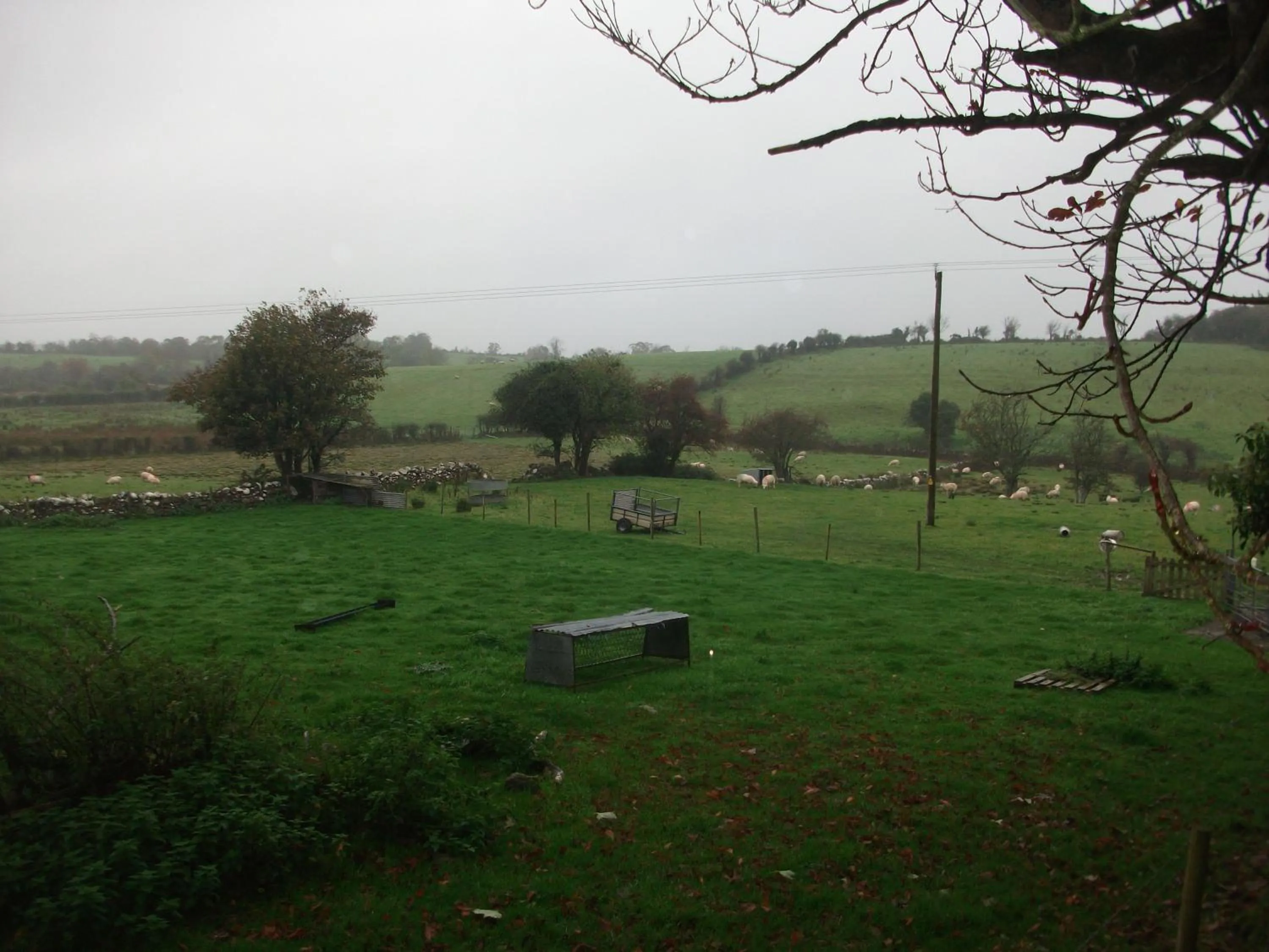 Rocksberry Bed & Breakfast