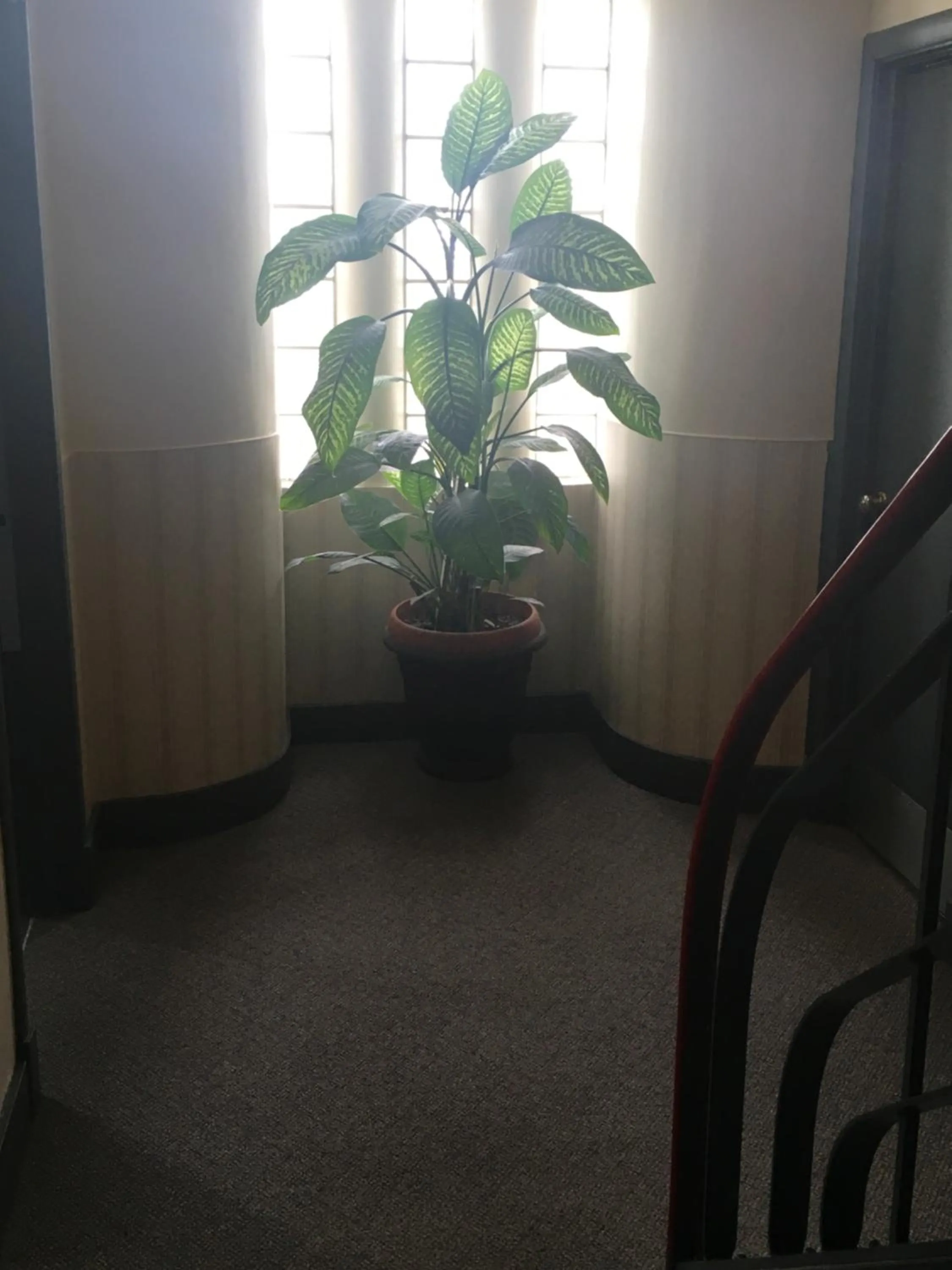 Auberge Centre Ville