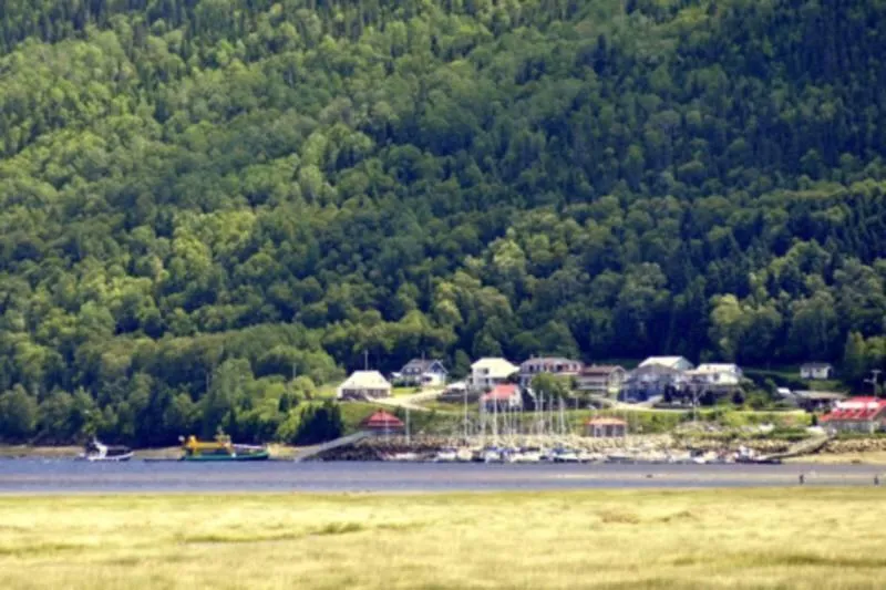 Entertainment in Auberge Centre Ville