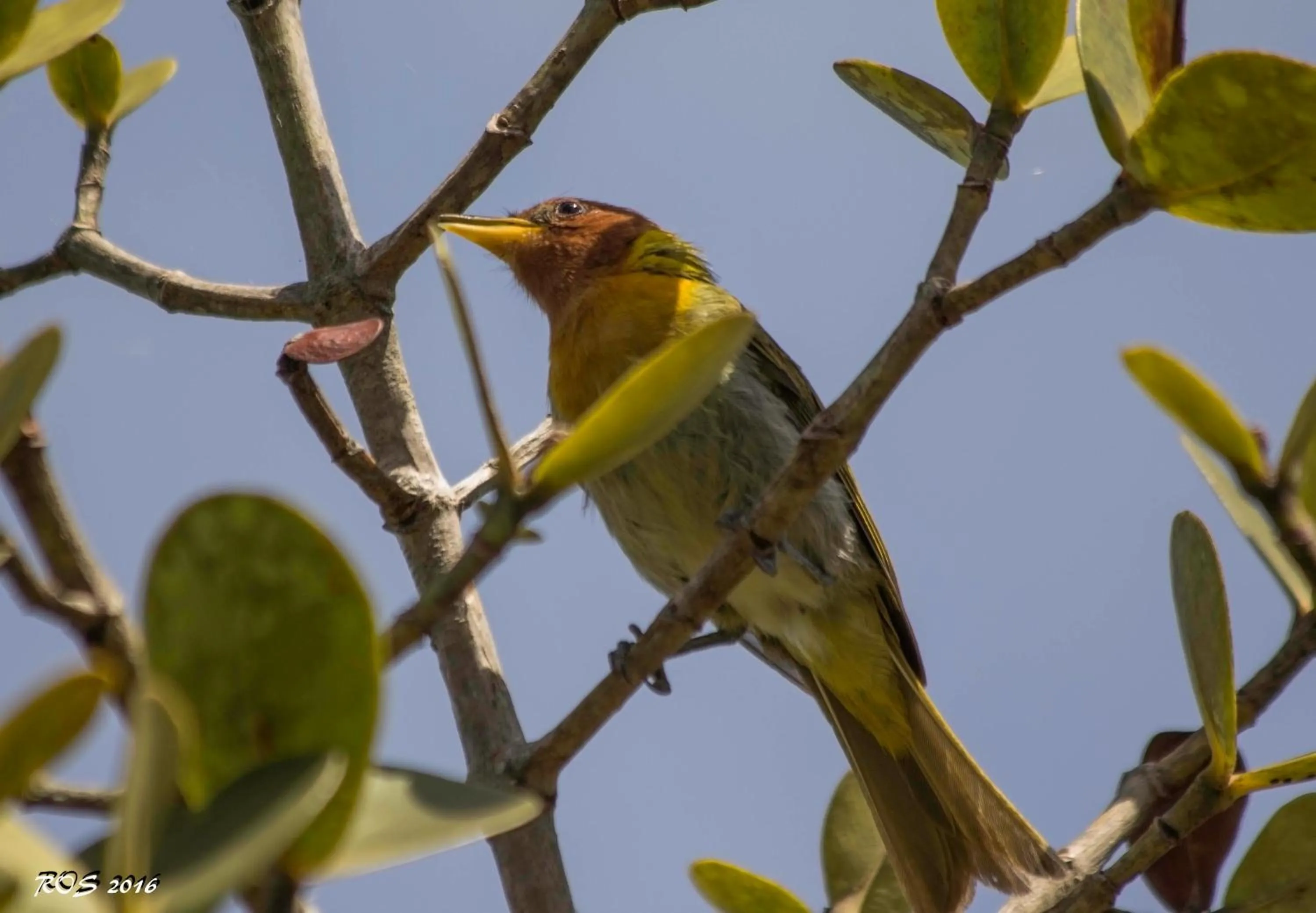 Hiking in Pousada Pedra Azul