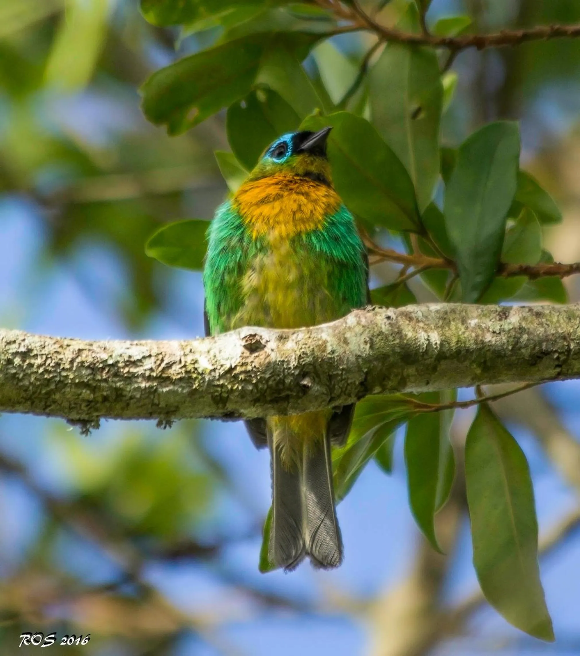 Hiking in Pousada Pedra Azul