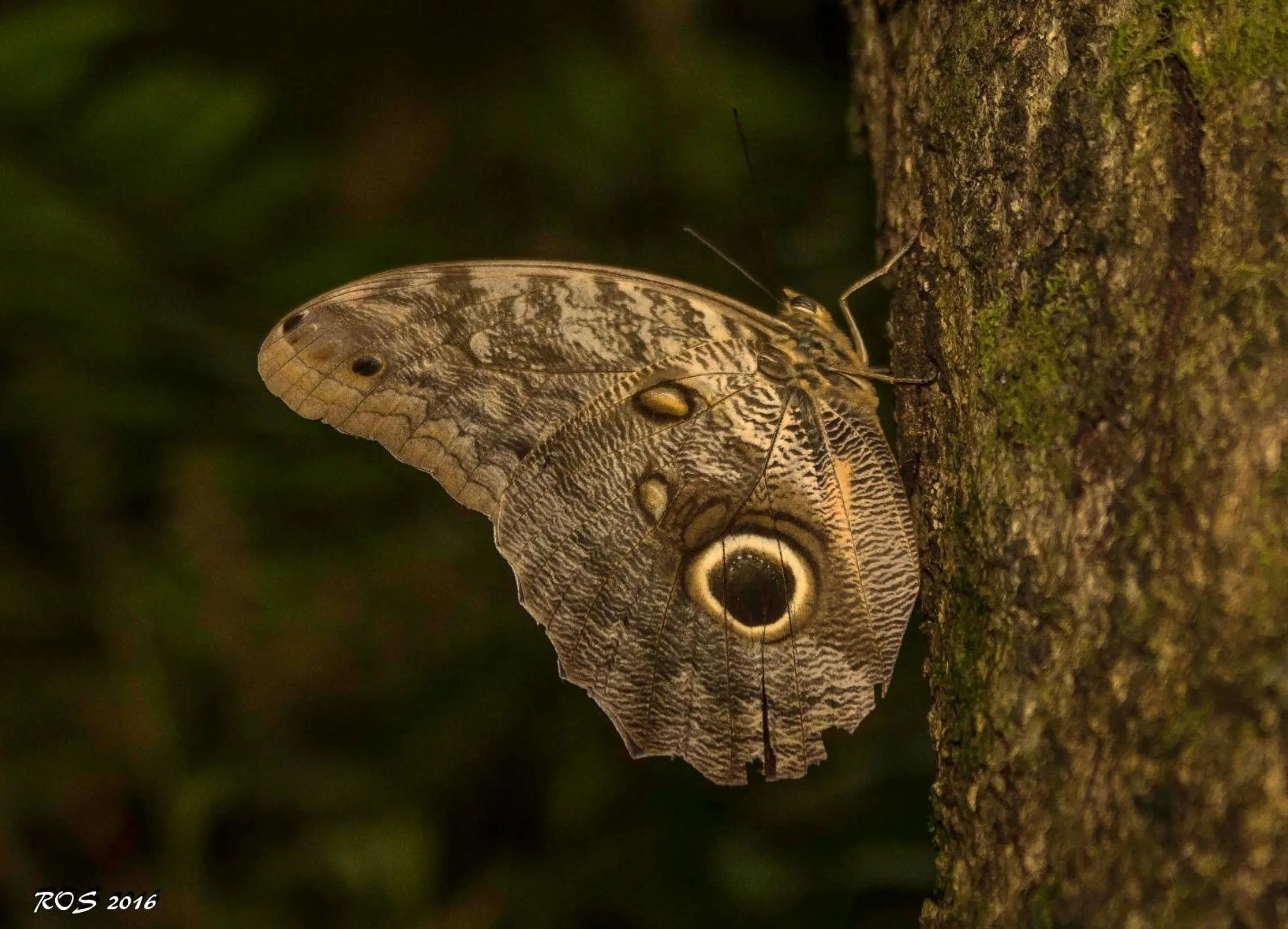 Hiking in Pousada Pedra Azul
