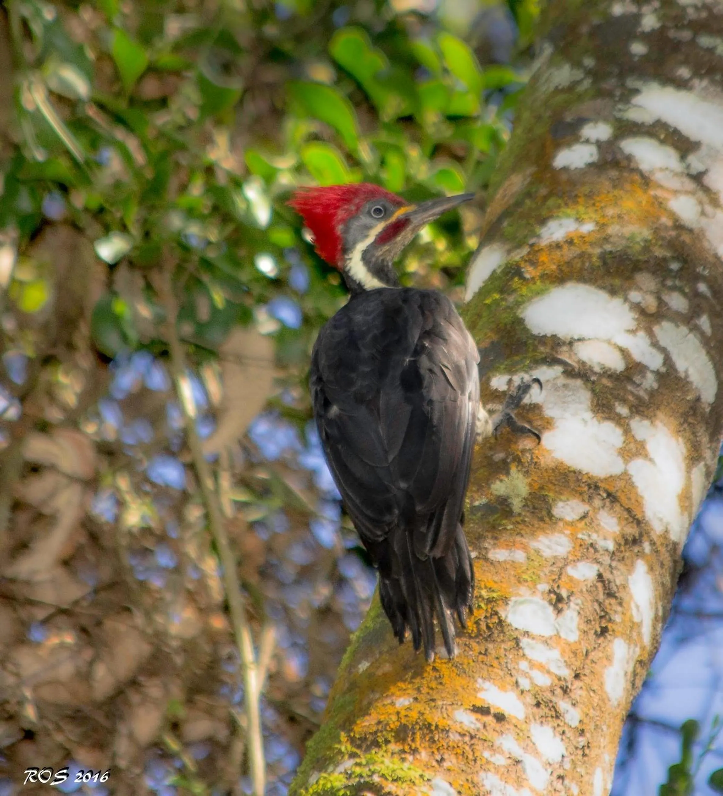 Hiking in Pousada Pedra Azul