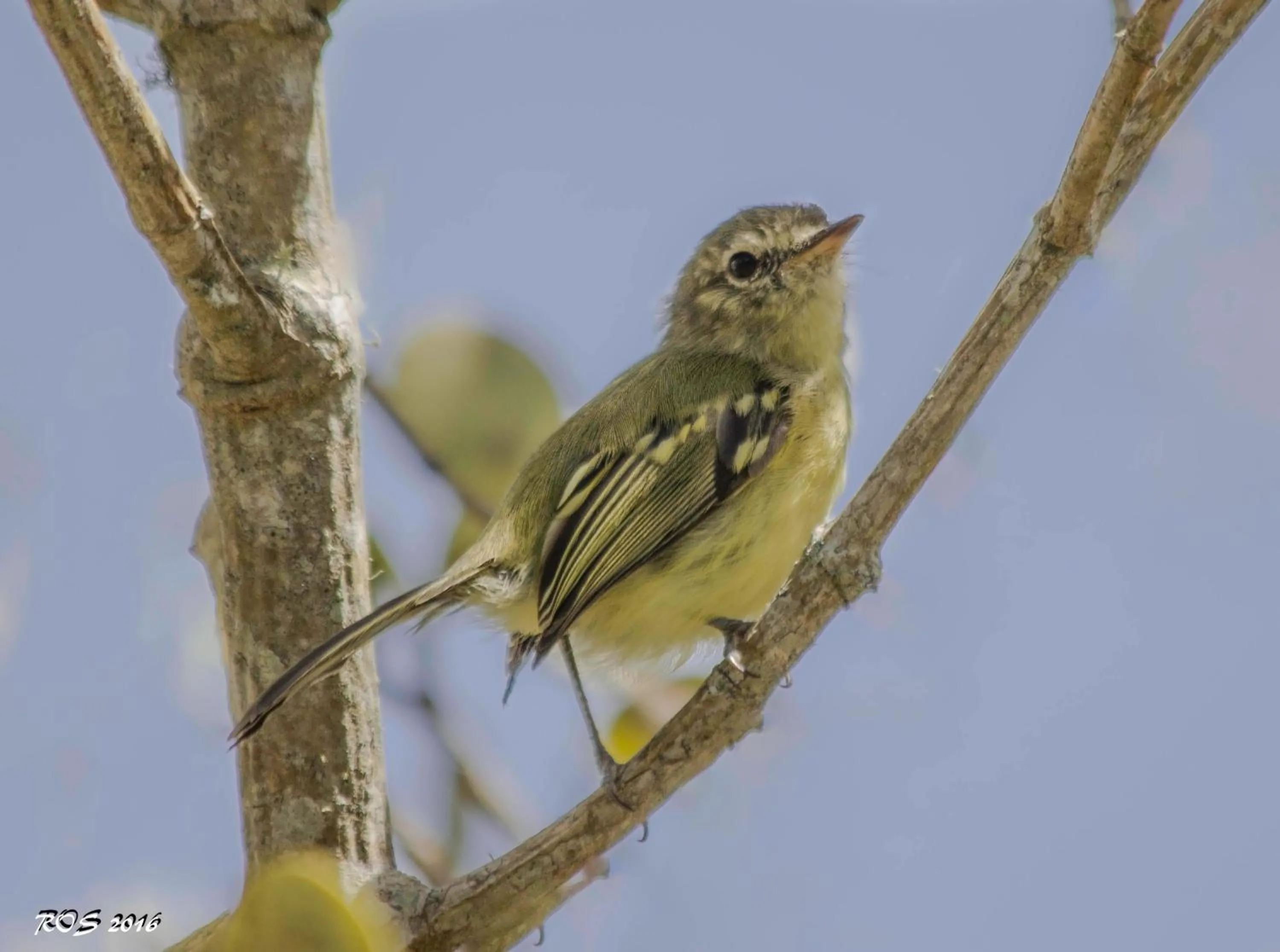 Hiking in Pousada Pedra Azul