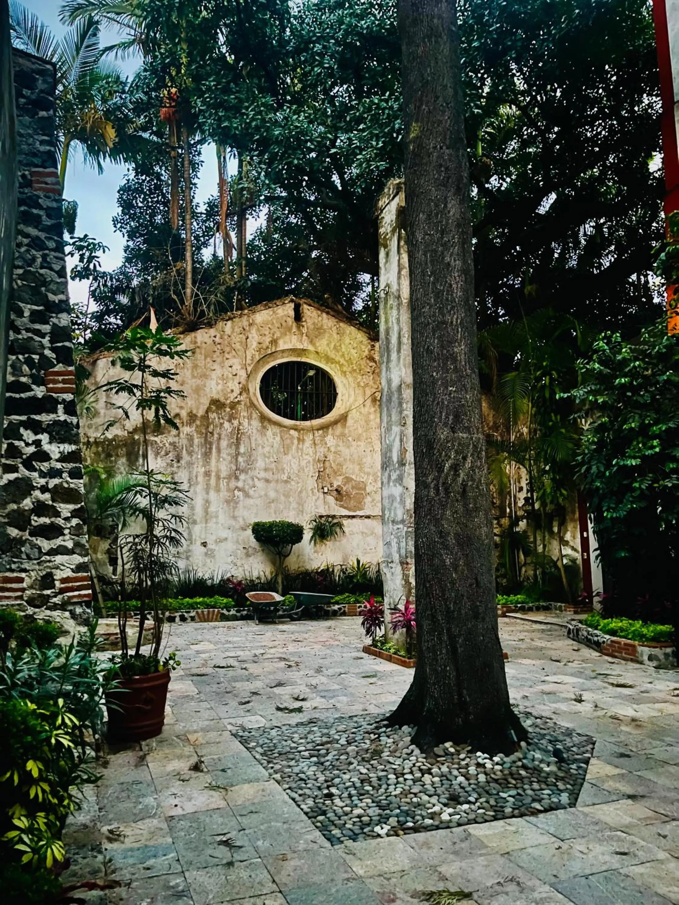 Garden in Hotel & Spa Hacienda de Cortés