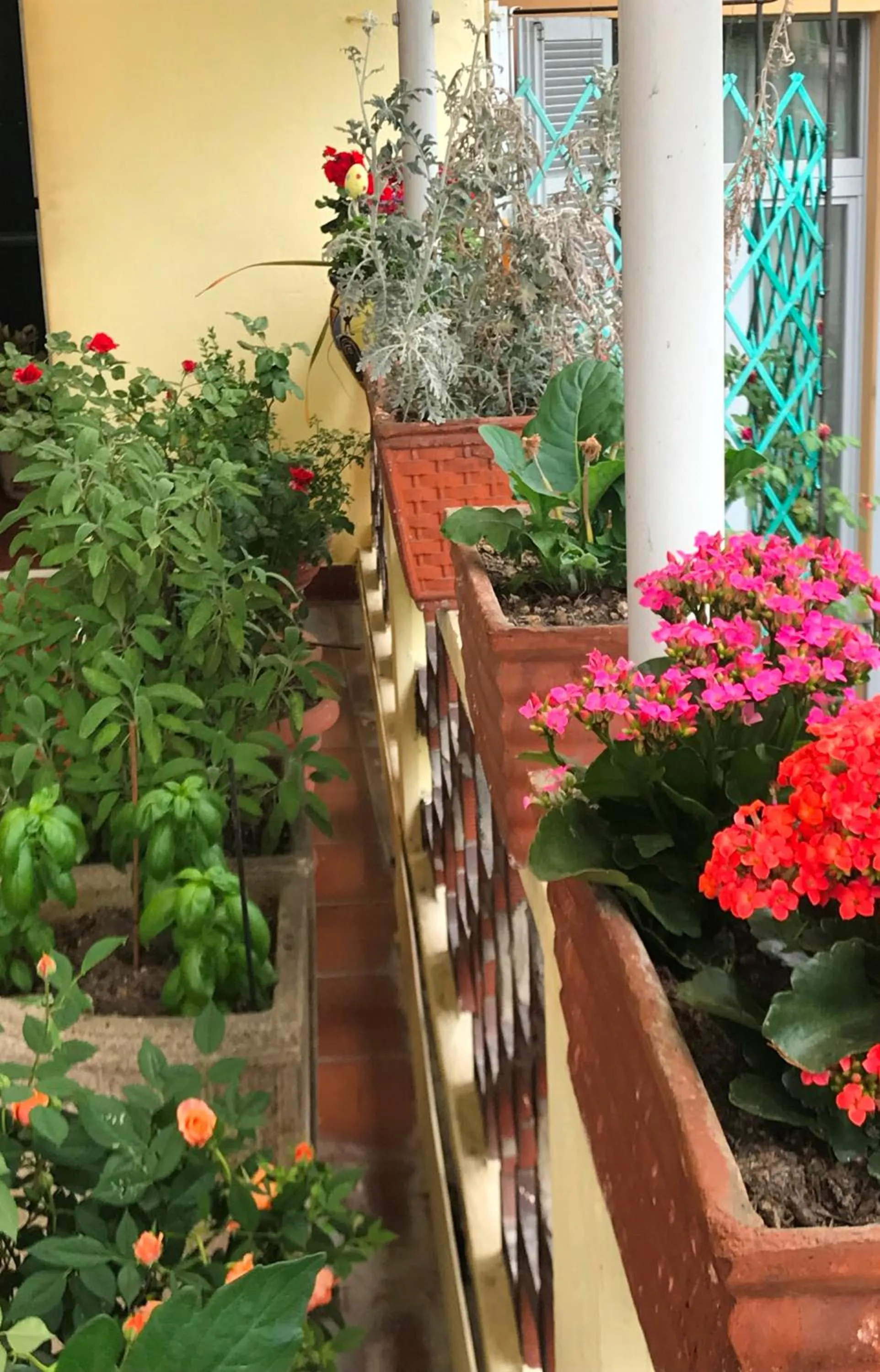 Balcony/Terrace in Casa di Nonna
