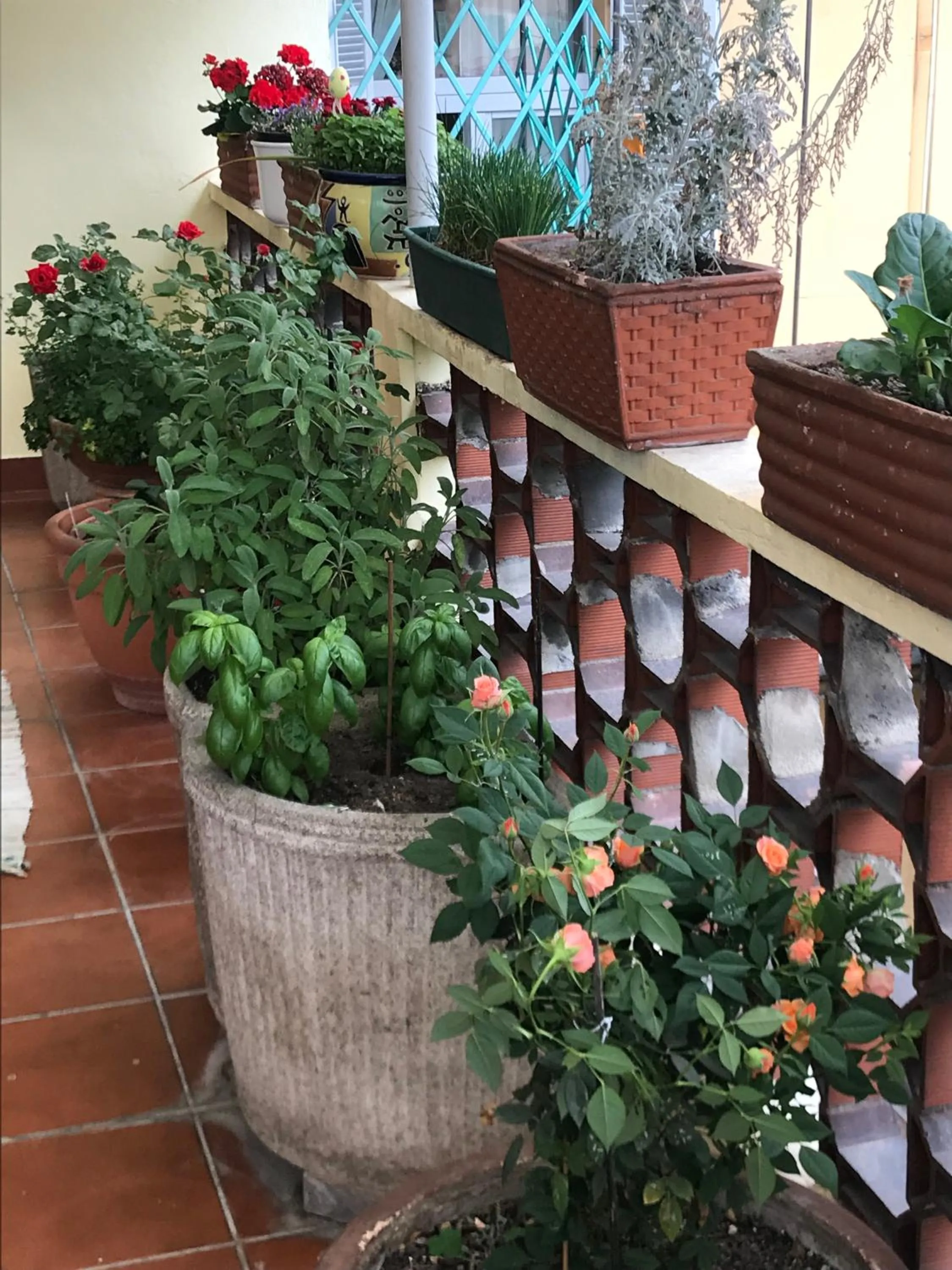 Balcony/Terrace in Casa di Nonna