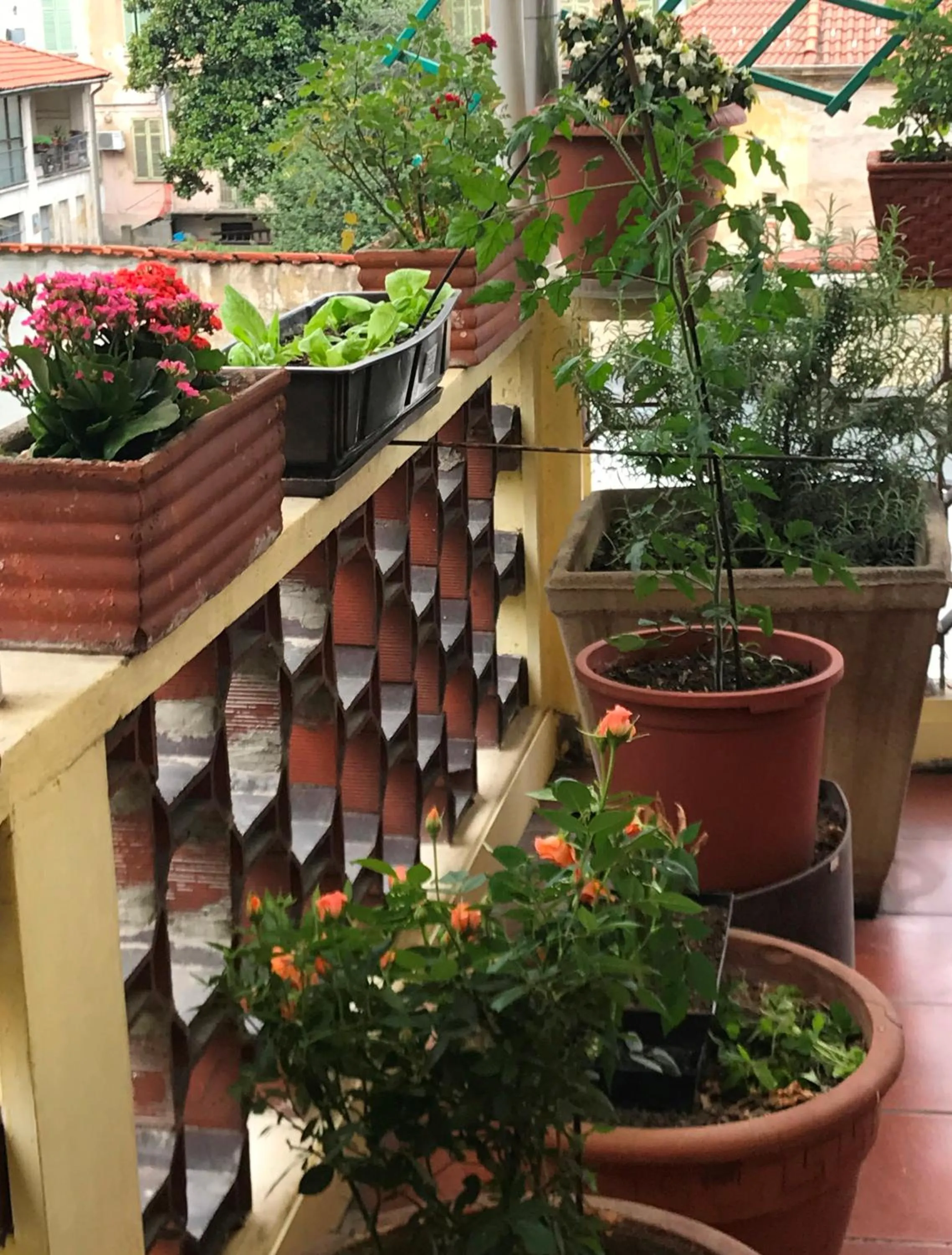 Balcony/Terrace in Casa di Nonna