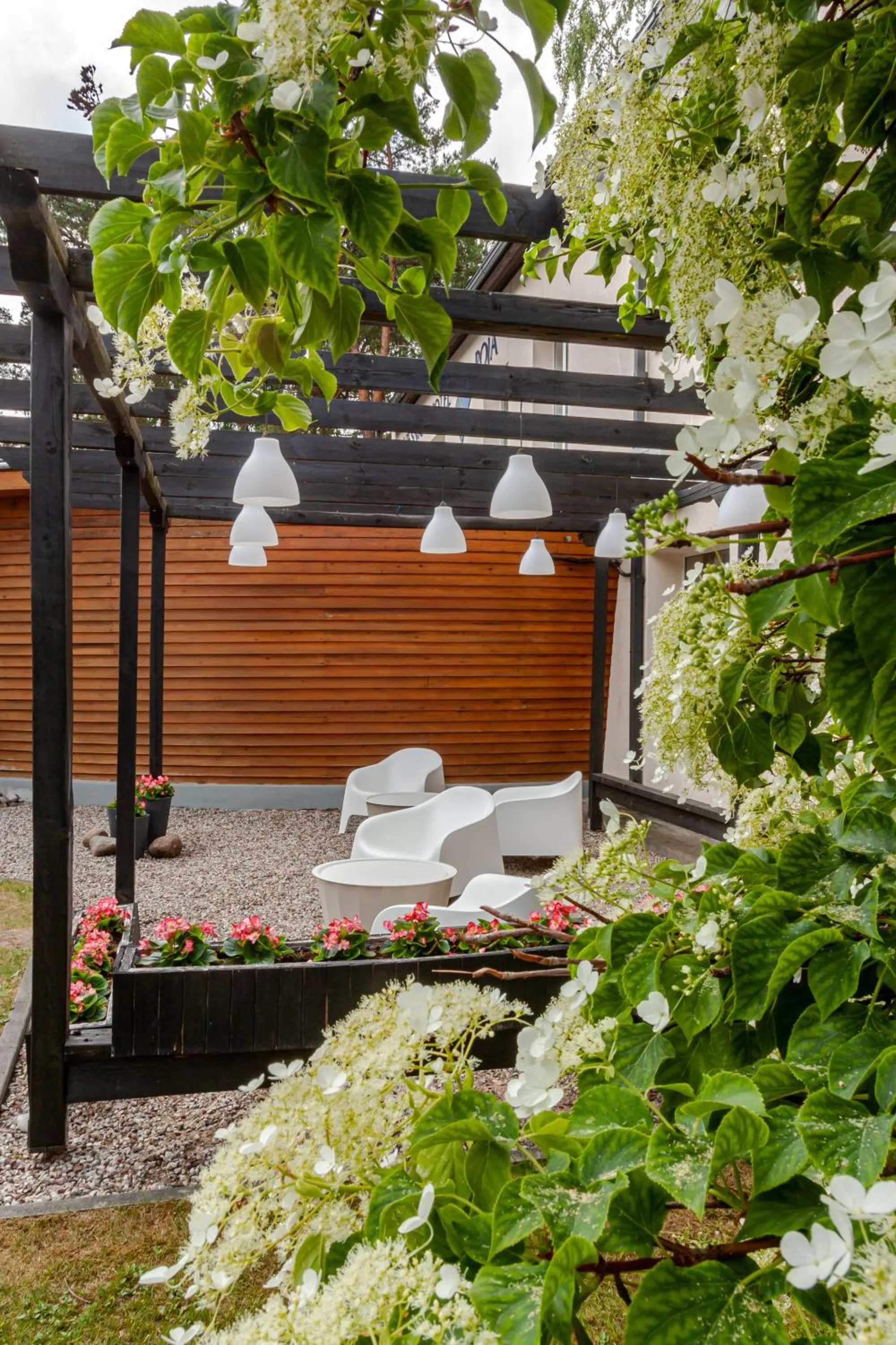 Patio in Boutique Hotel Roja