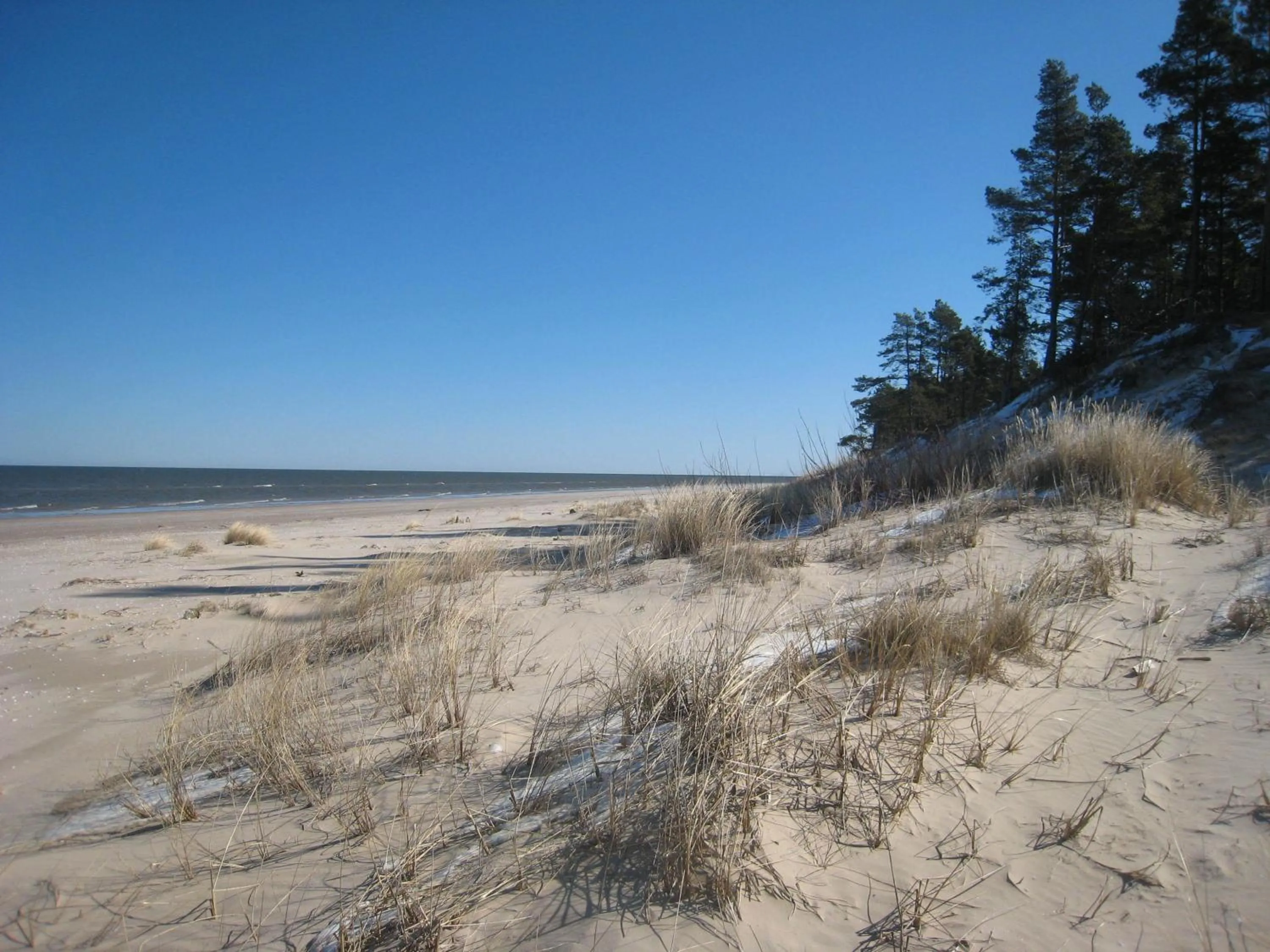 Beach in Boutique Hotel Roja