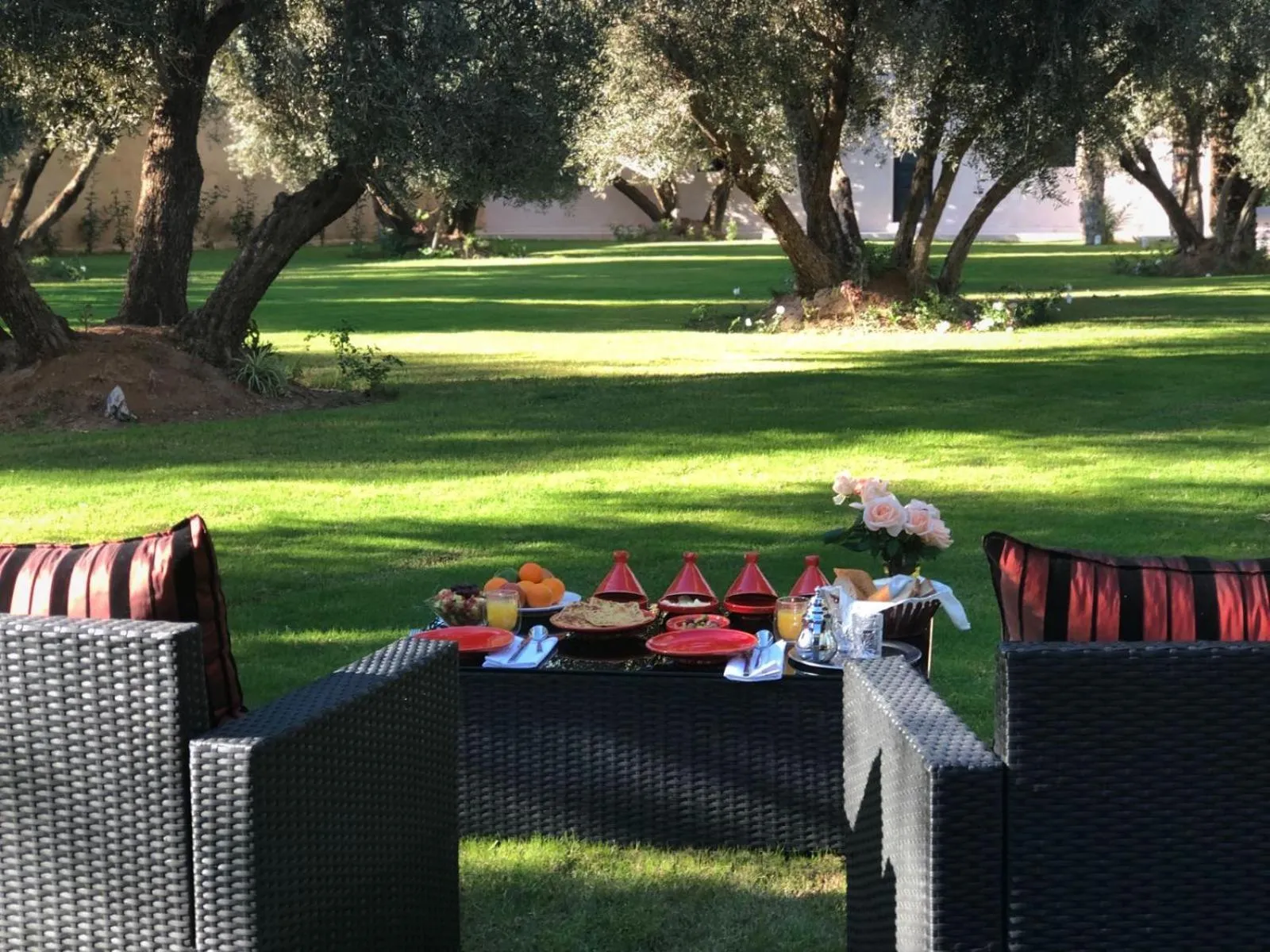 Garden view in Riad le Jasmin