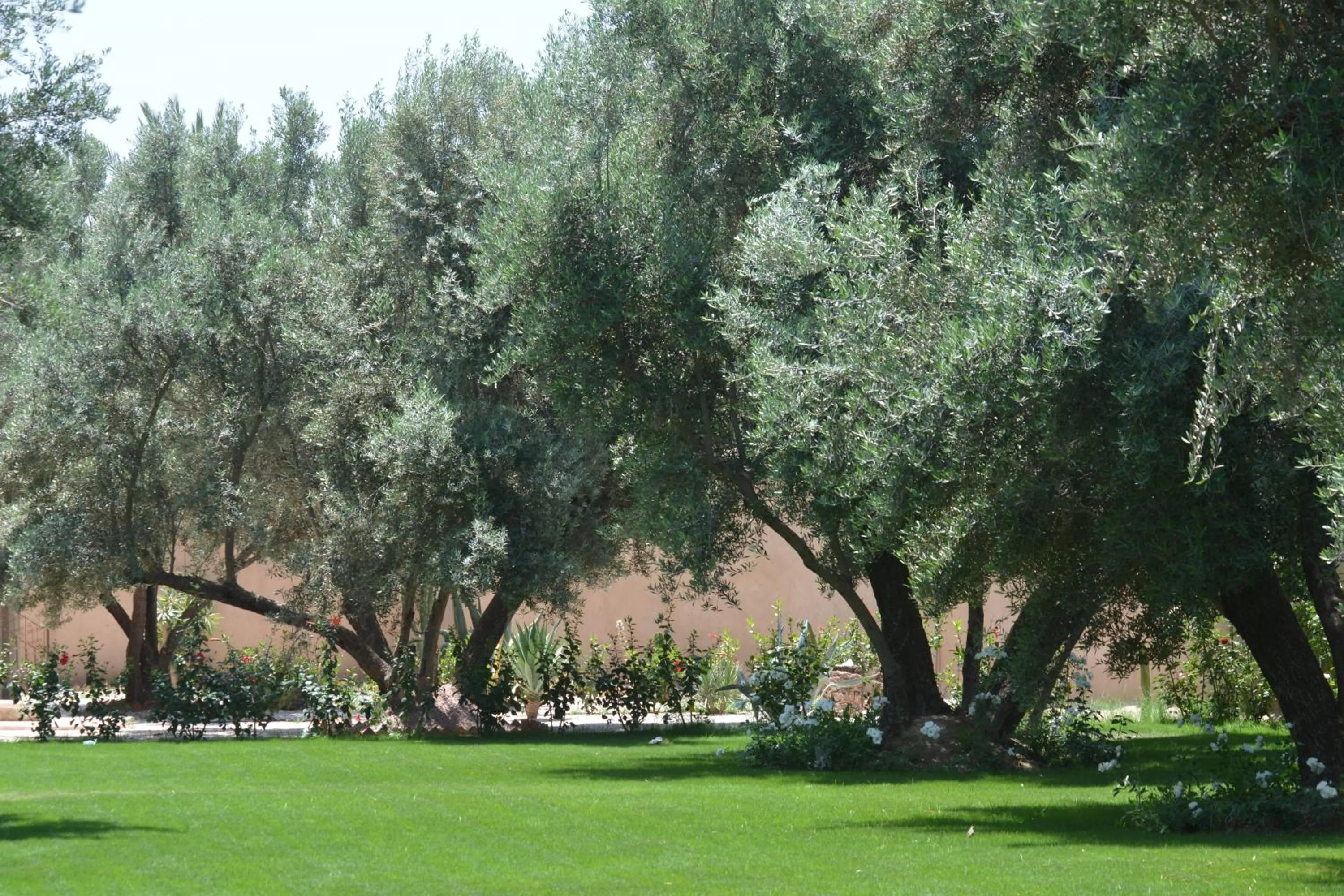 Natural landscape in Riad le Jasmin