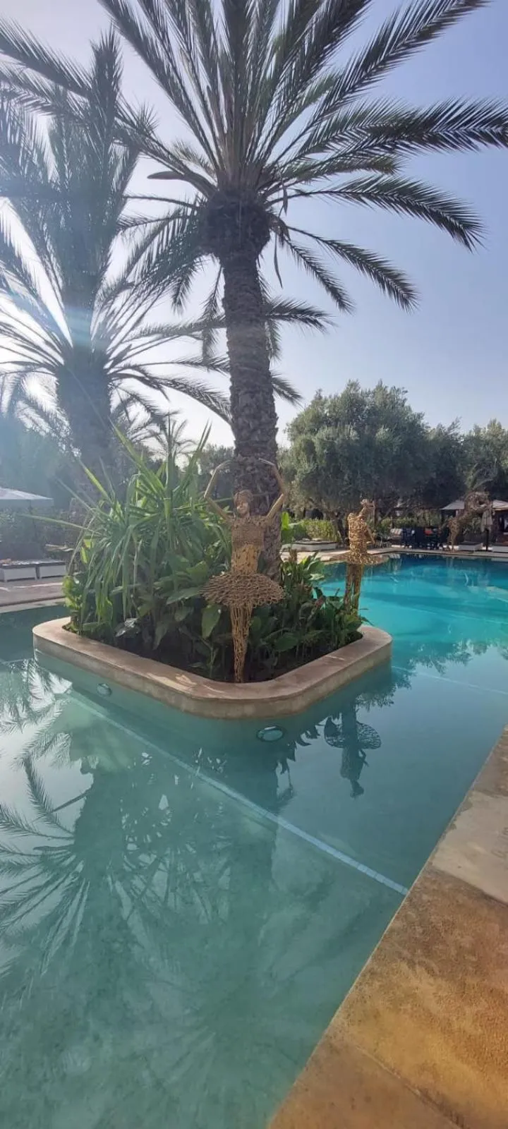 Pool view in Riad le Jasmin