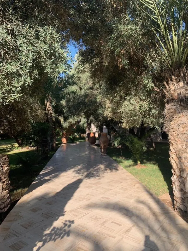 Garden in Riad le Jasmin