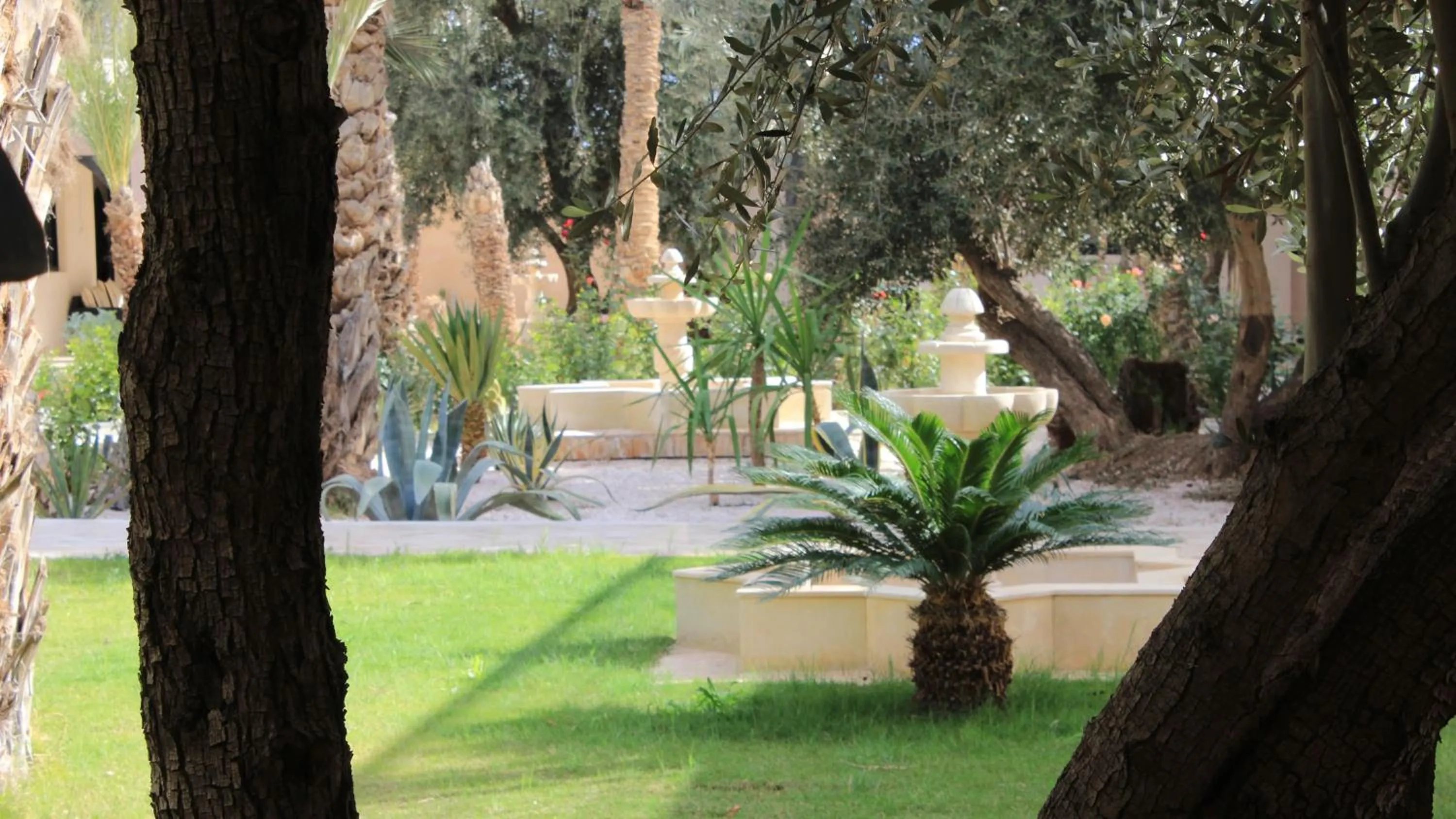 Garden in Riad le Jasmin