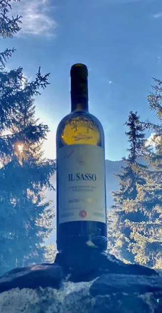 Lounge or bar in Hotel Germania