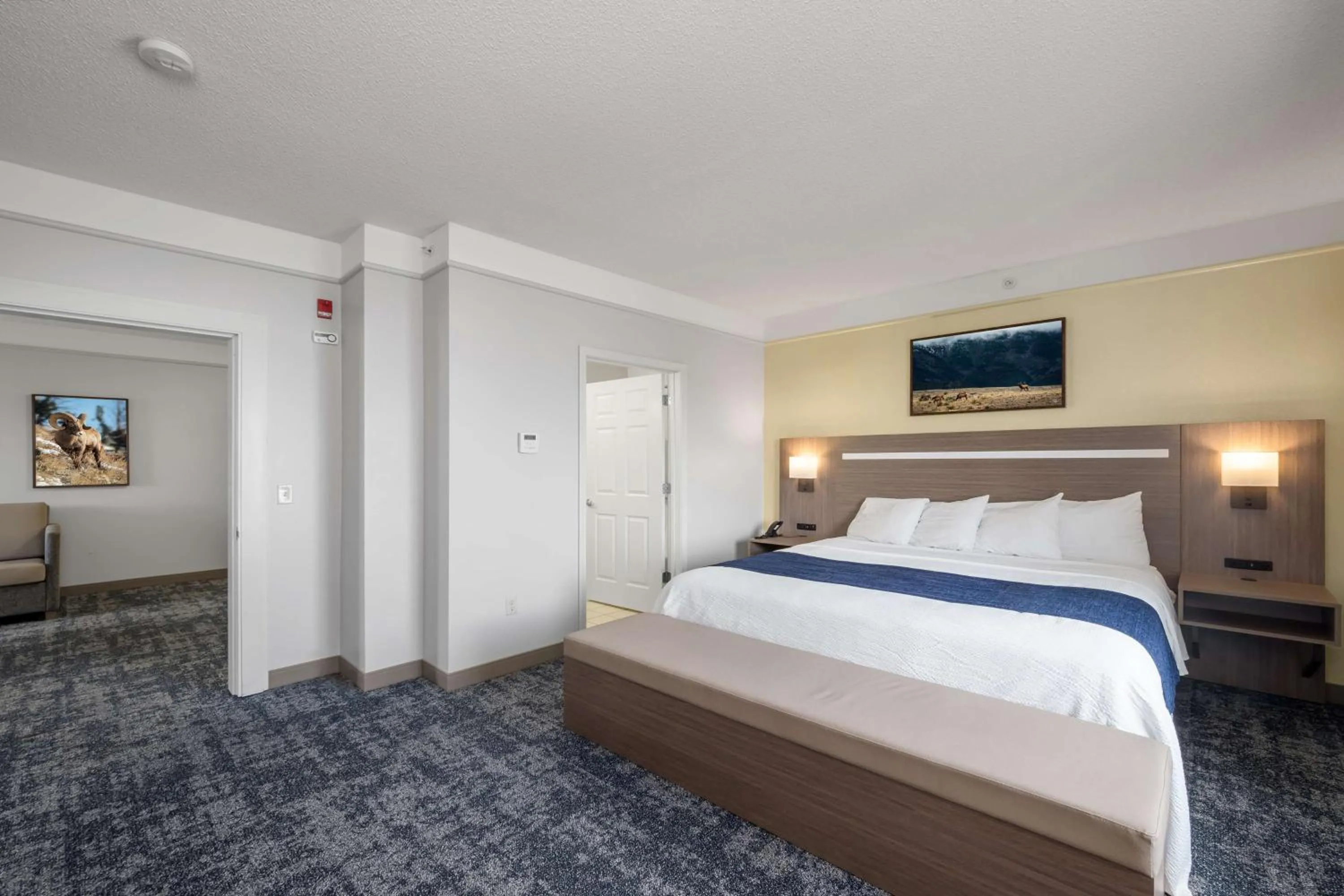 Bed in SureStay Plus Hotel by Best Western Billings