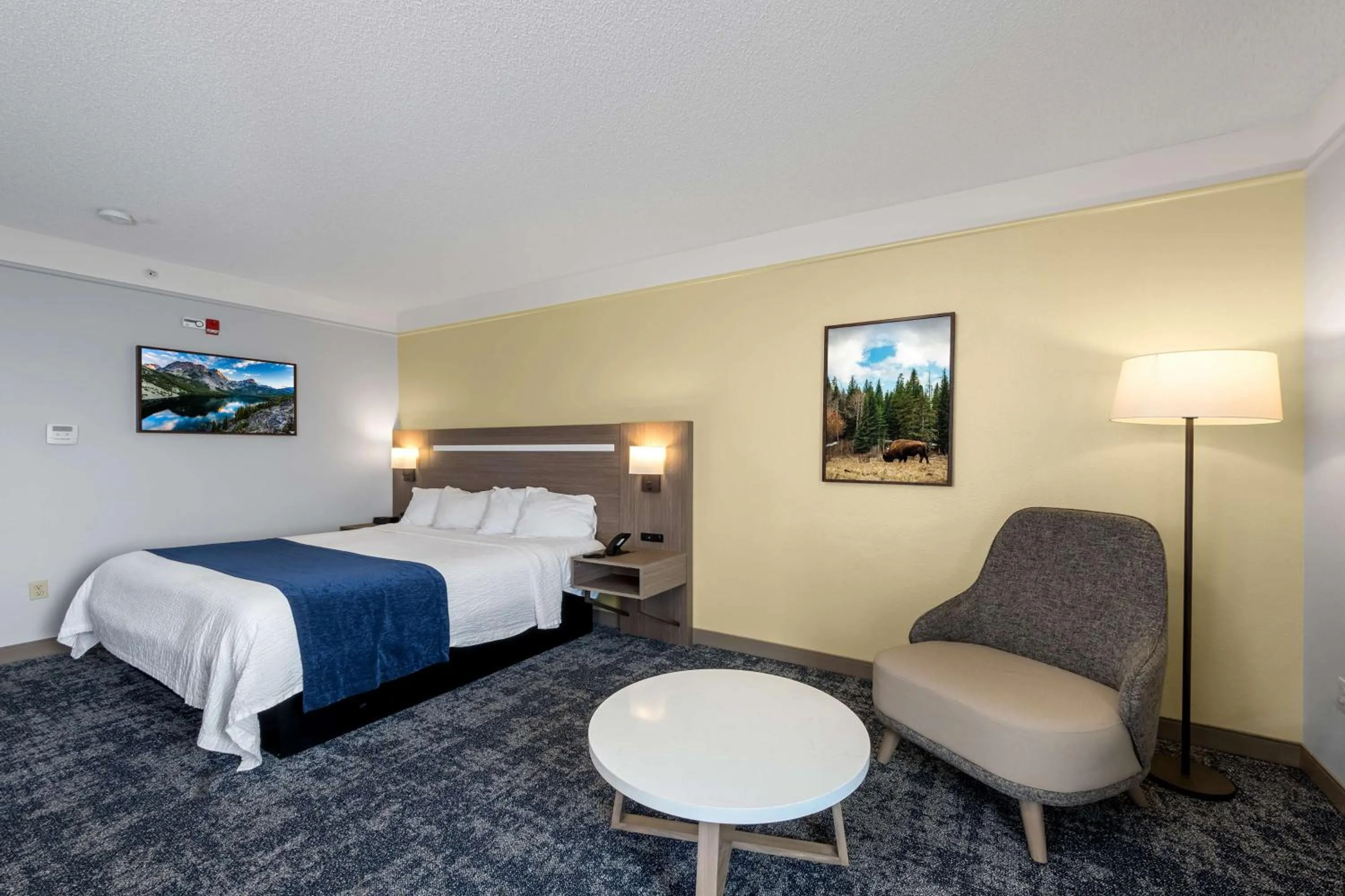 Bed in SureStay Plus Hotel by Best Western Billings