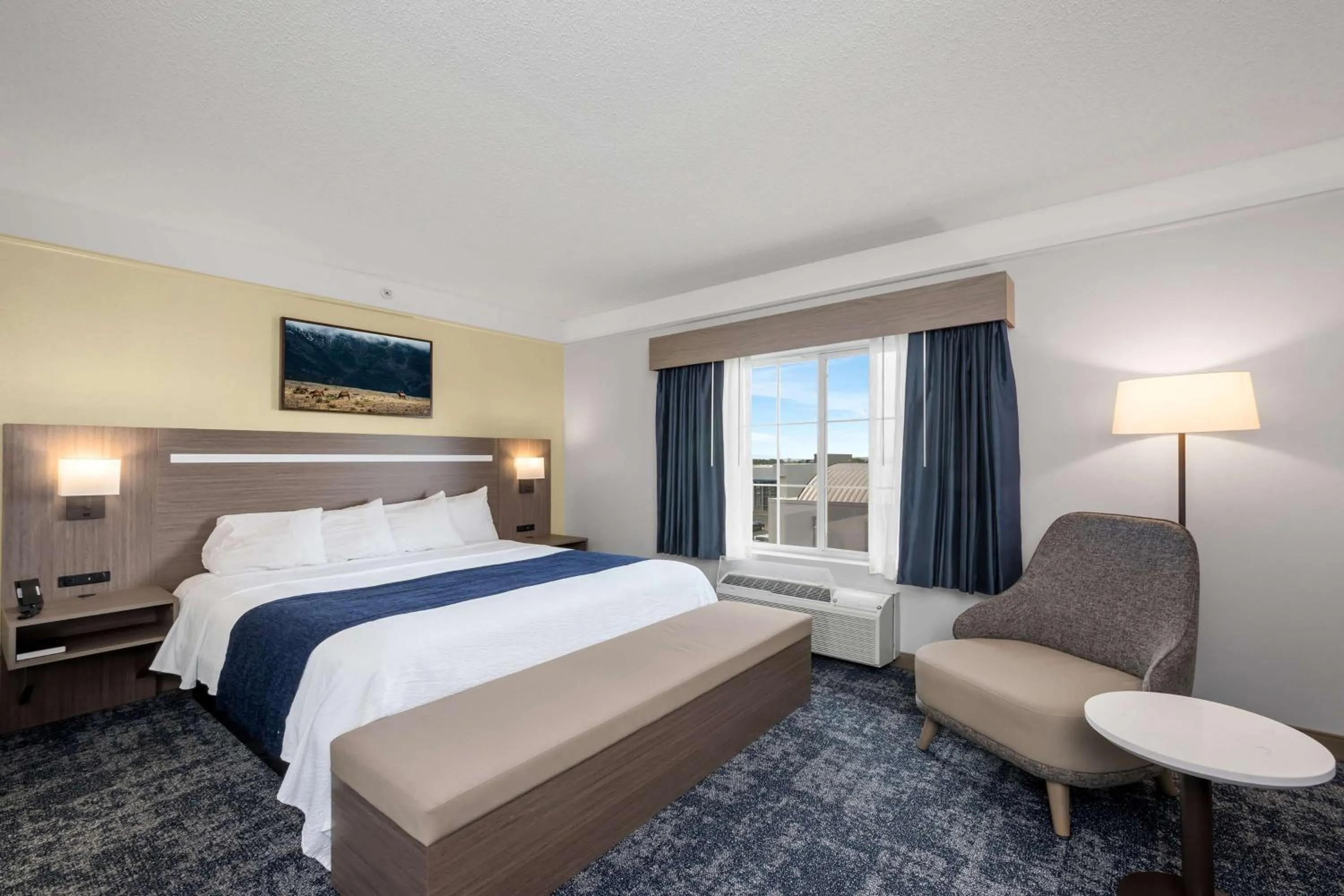 Bed in SureStay Plus Hotel by Best Western Billings