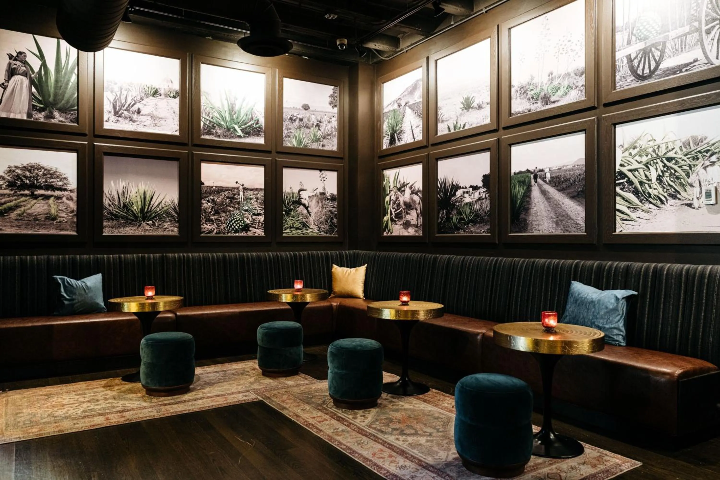 Lounge or bar in Hotel Ivy, a Luxury Collection Hotel, Minneapolis