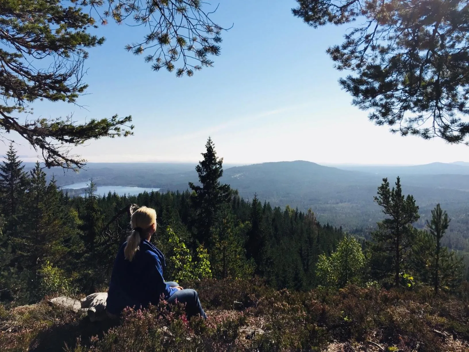 Nearby landmark in Vasa Ski Lodge