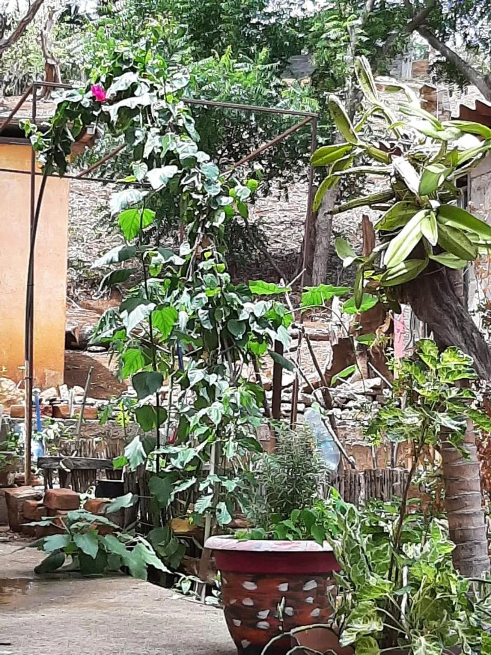 Inner courtyard view in El Jardin