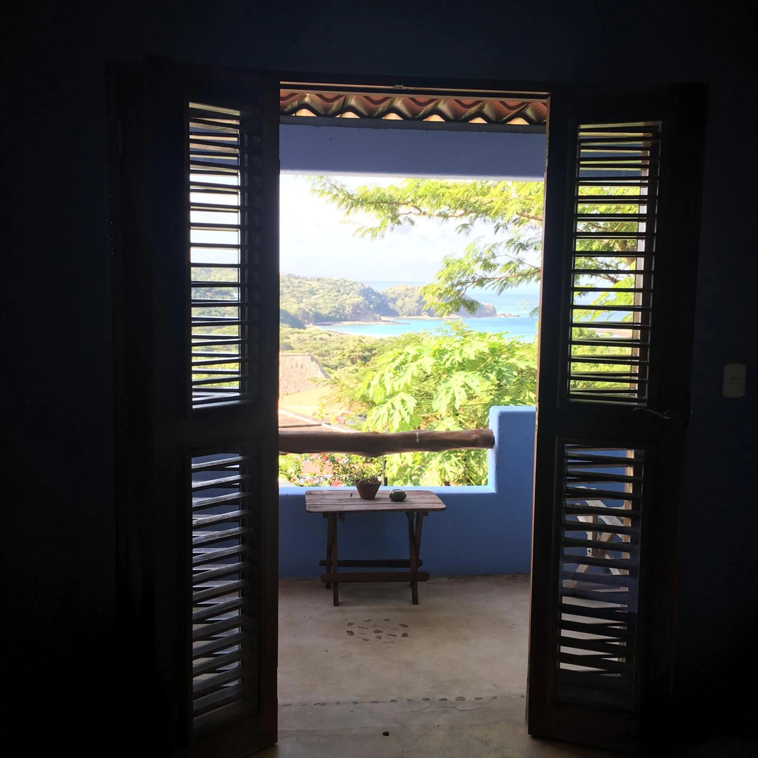 View (from property/room) in El Jardin