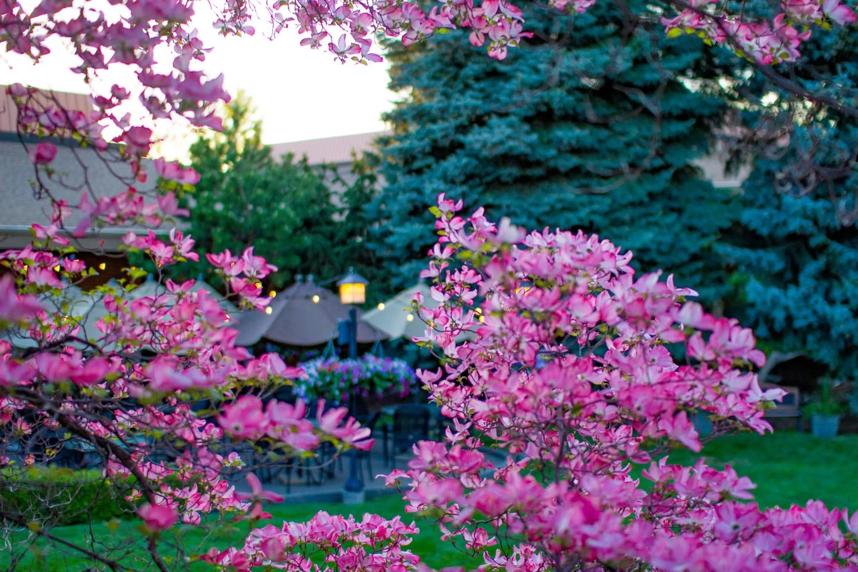 Spring in Mirabeau Park Hotel