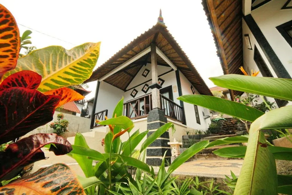 Area and facilities in Warung Ary & Home Stay