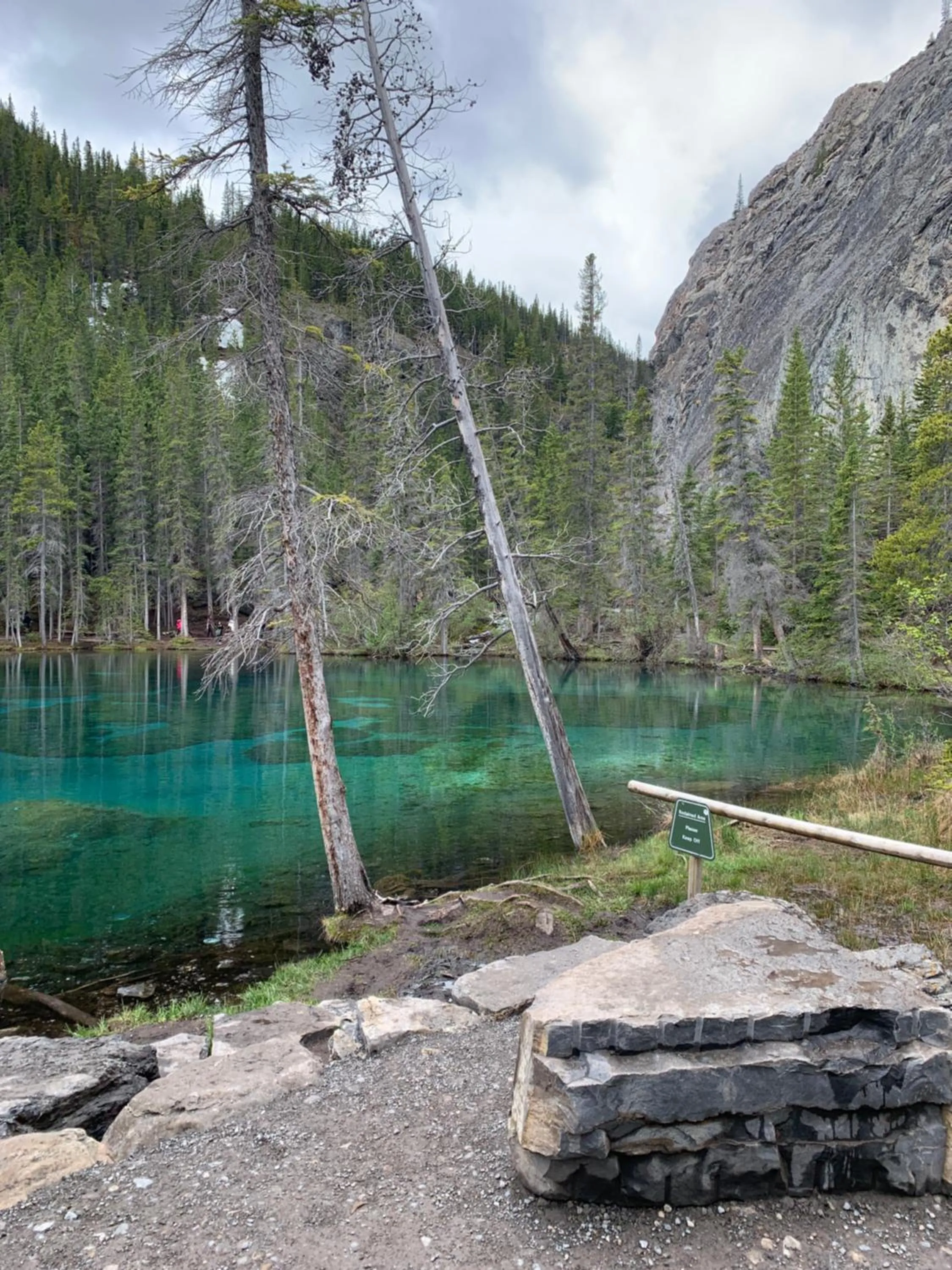 Hiking in Inviting Rocky Mountain HOT TUB in Top Rated Condo managed by Little Sister Getaways