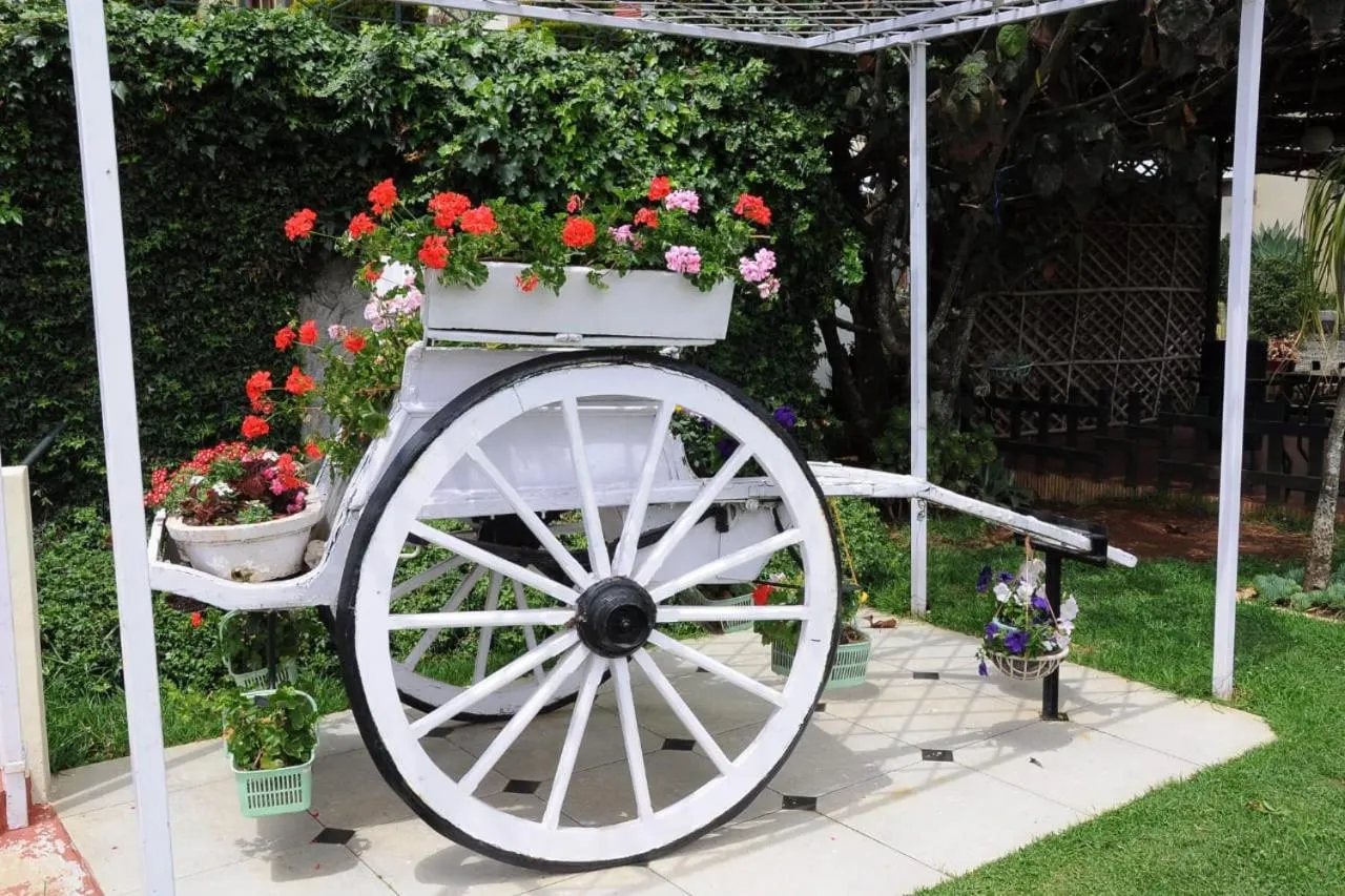 Garden in Gem Park Ooty