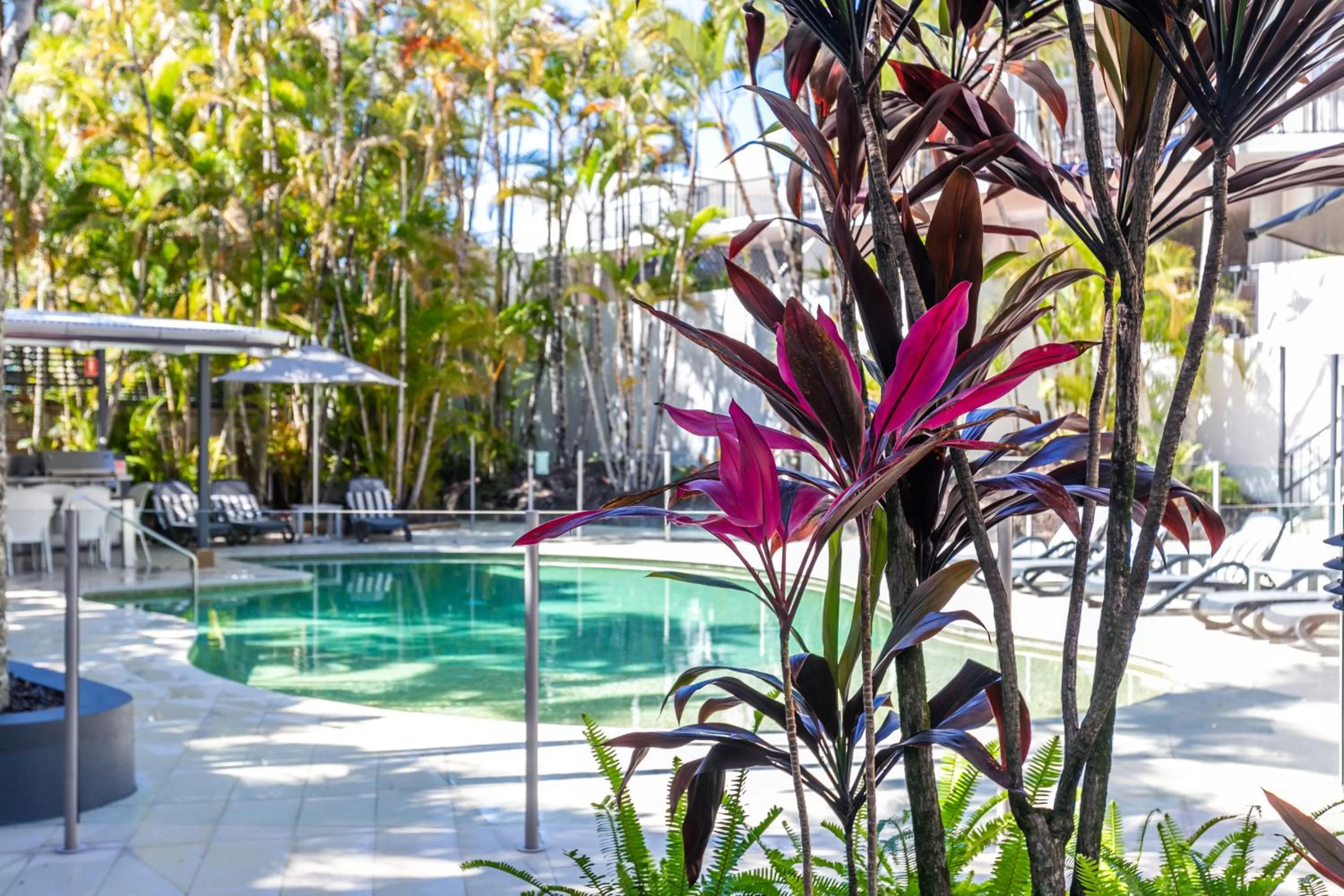Swimming pool in Noosa Tropicana
