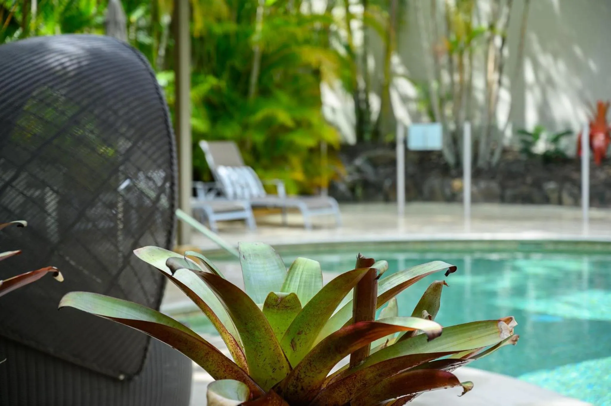 Property building in Noosa Tropicana