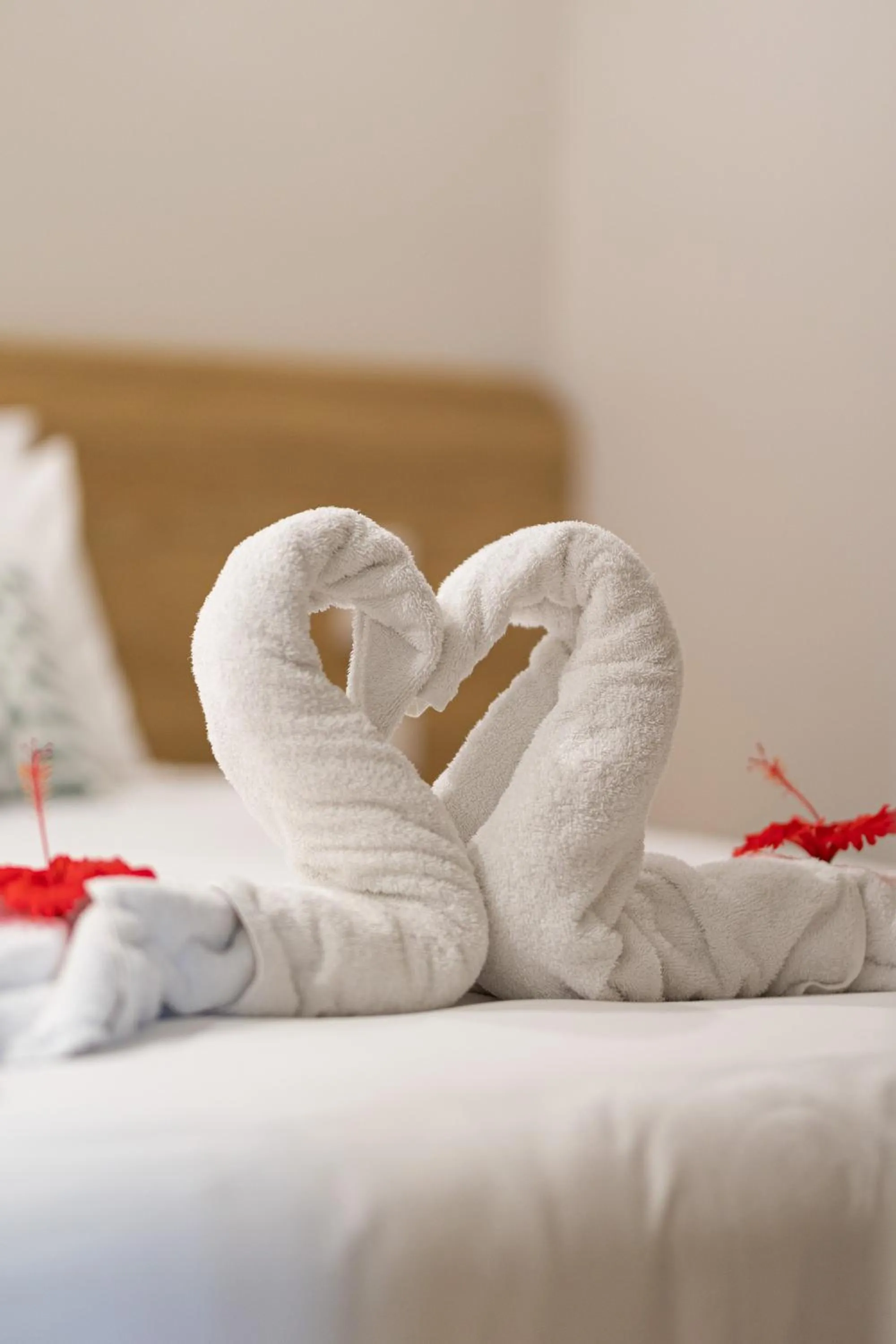 Bed in Seahaven Resort