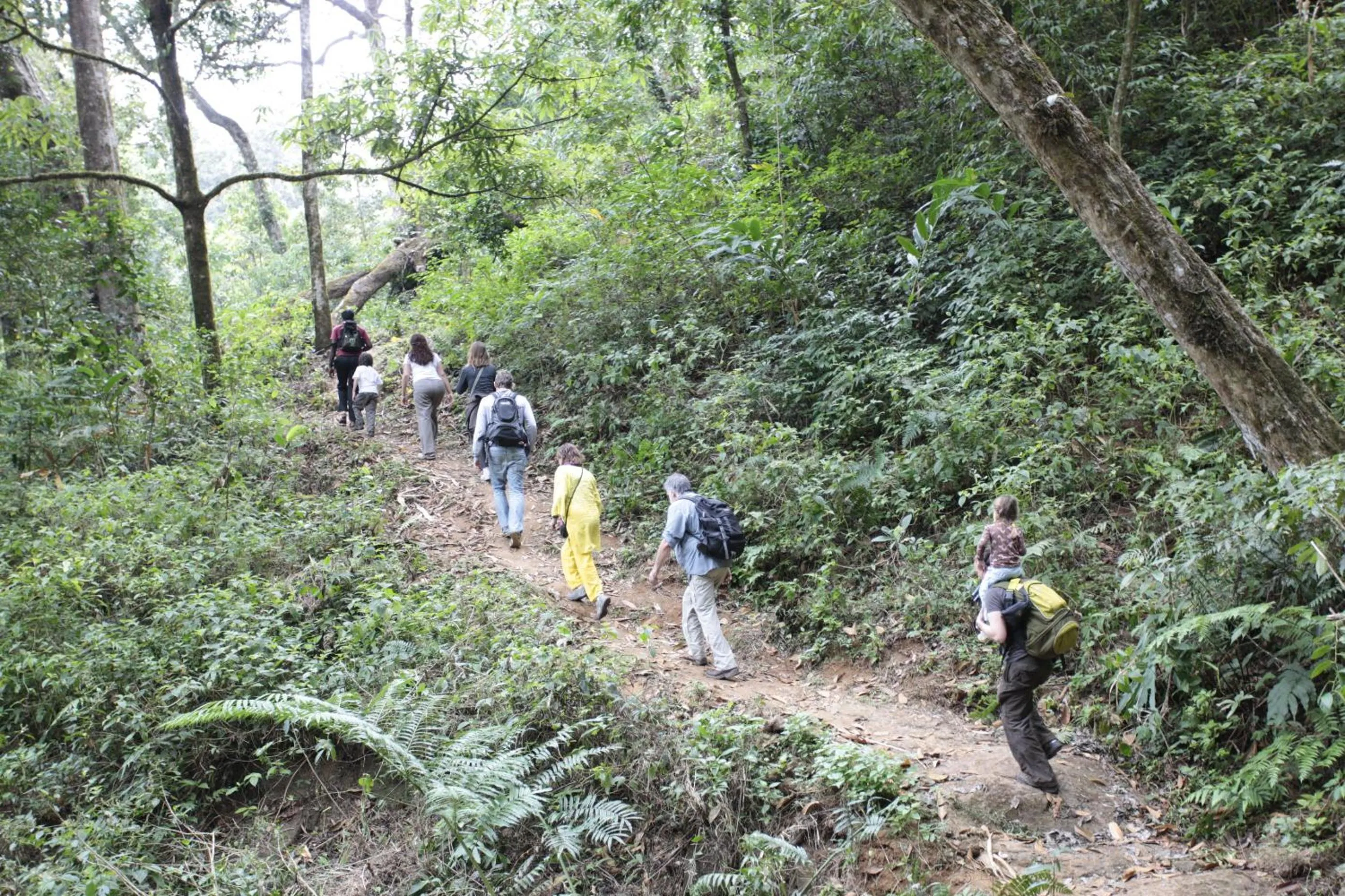 Other in Amritara Shalimar Spice Garden Resort & Spa