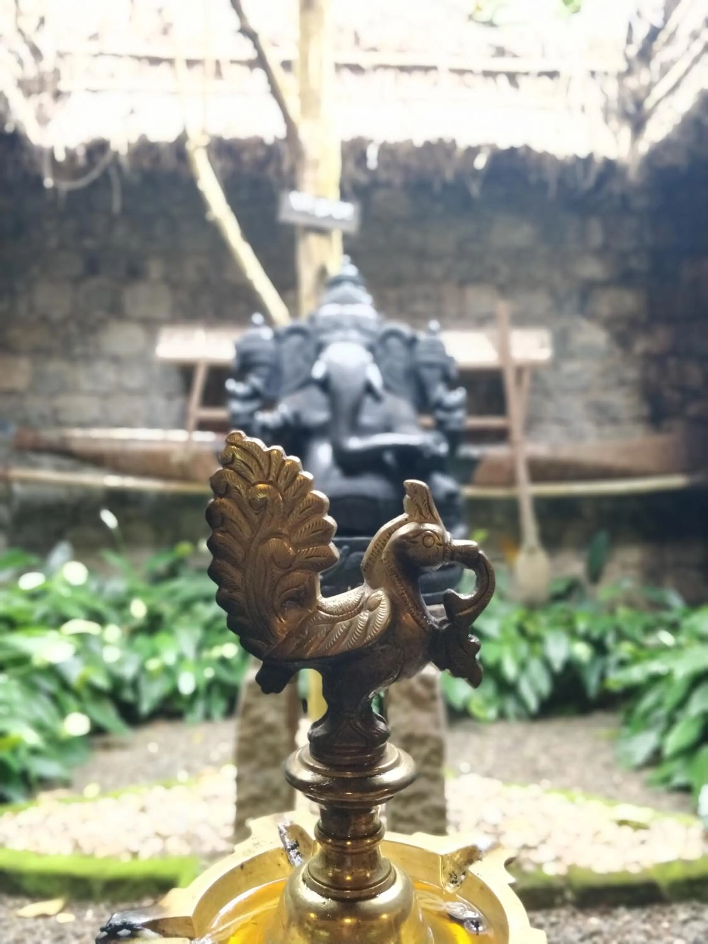 Lobby or reception in Amritara Shalimar Spice Garden Resort & Spa