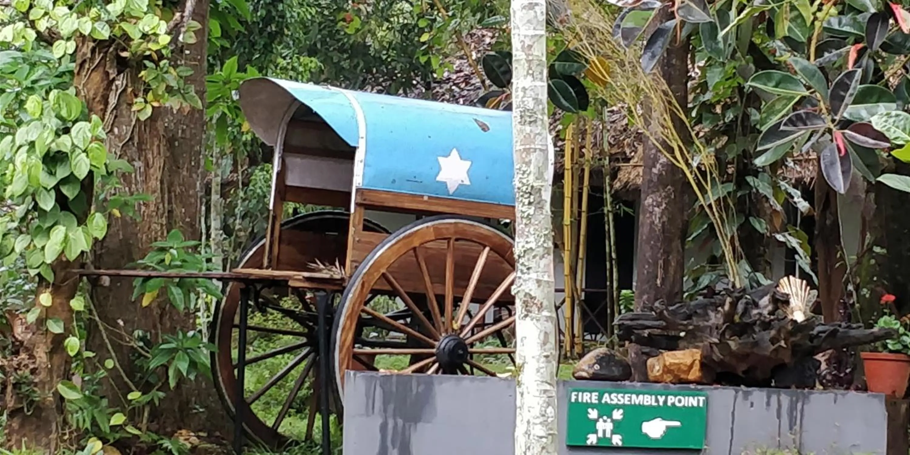 Activities in Amritara Shalimar Spice Garden Resort & Spa