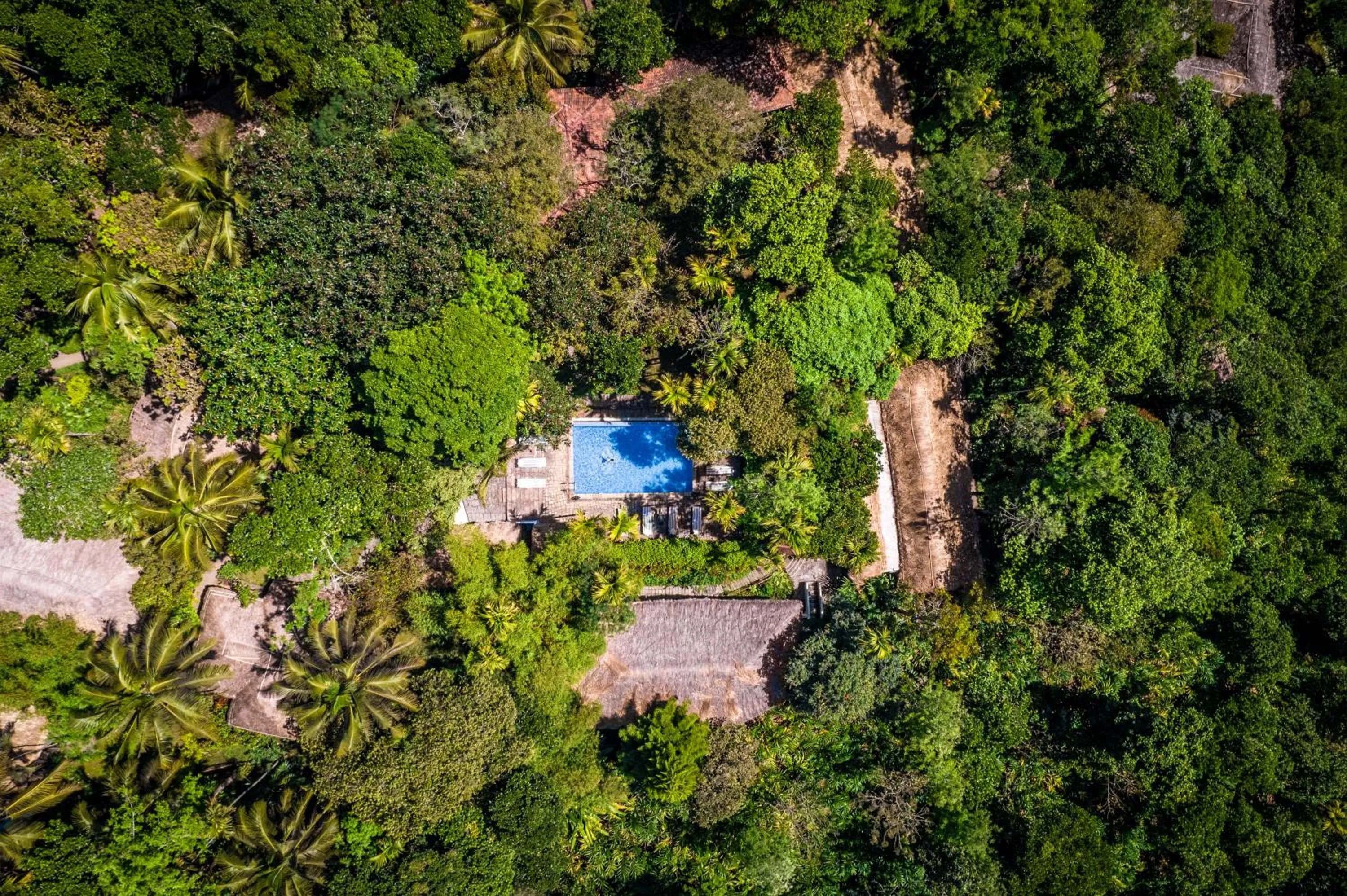 Natural landscape in Amritara Shalimar Spice Garden Resort & Spa