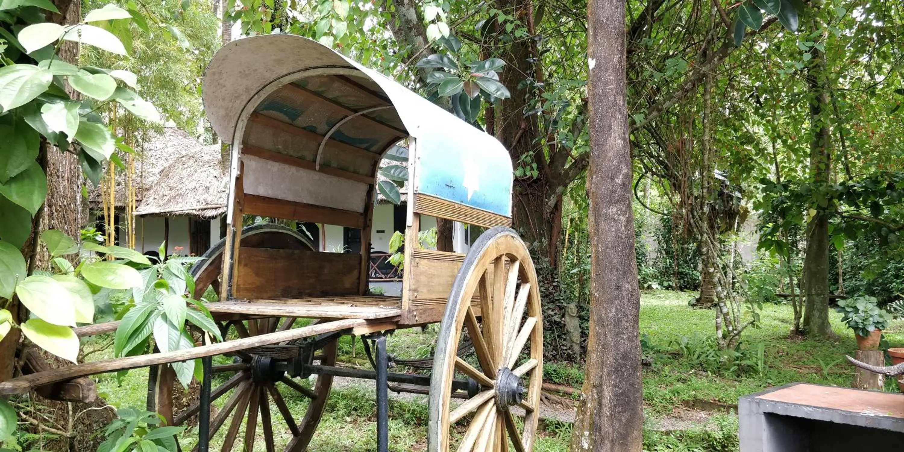 Natural landscape in Amritara Shalimar Spice Garden Resort & Spa
