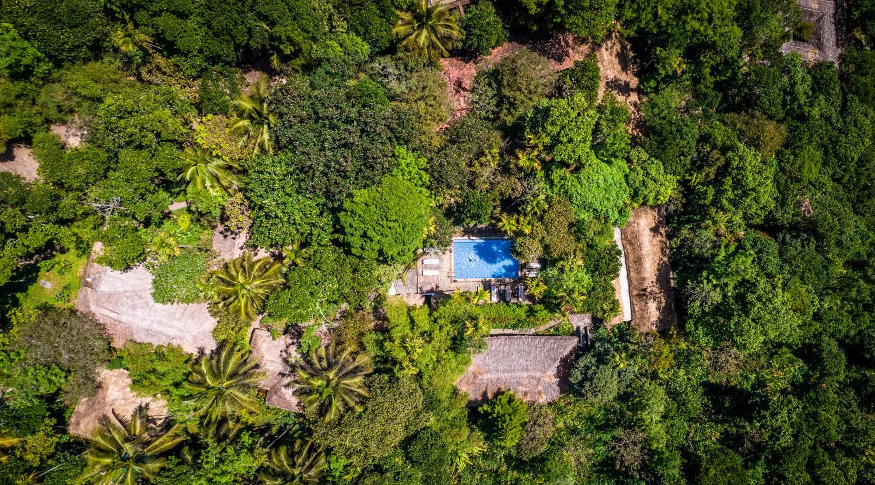 Natural landscape in Amritara Shalimar Spice Garden Resort & Spa