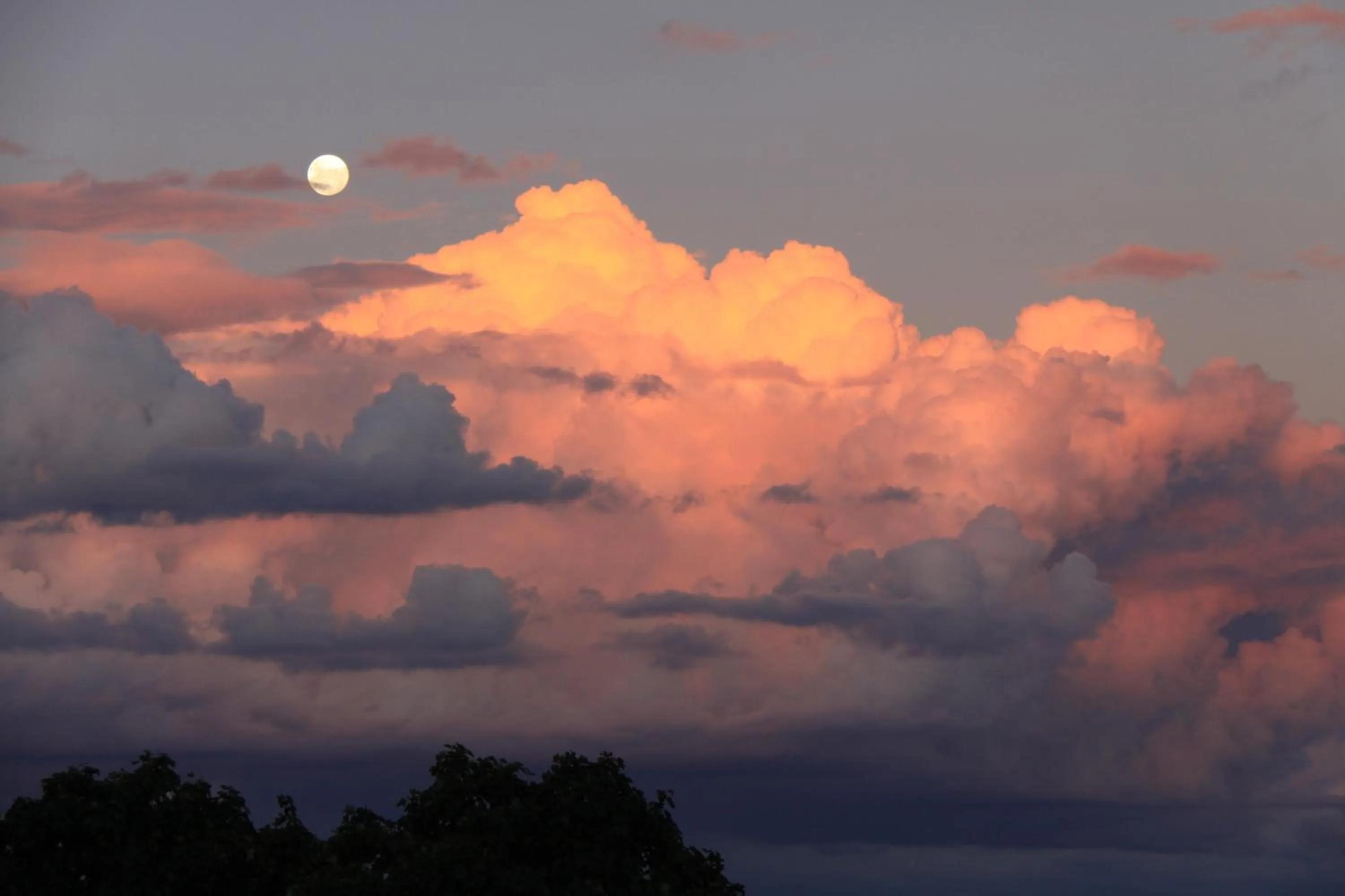 View (from property/room) in Bathurst Heights Bed & Breakfast