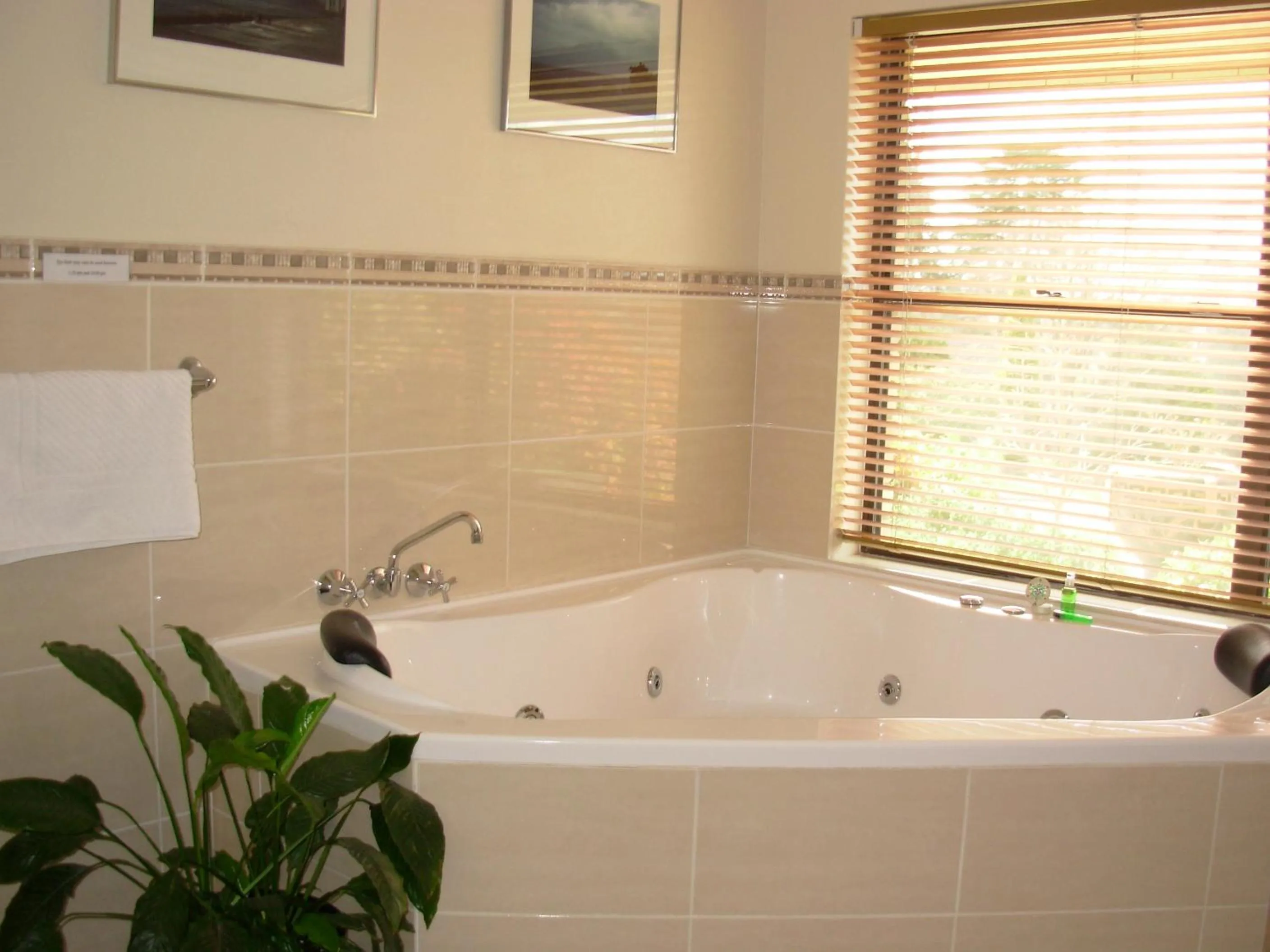 Bathroom in Bathurst Heights Bed & Breakfast