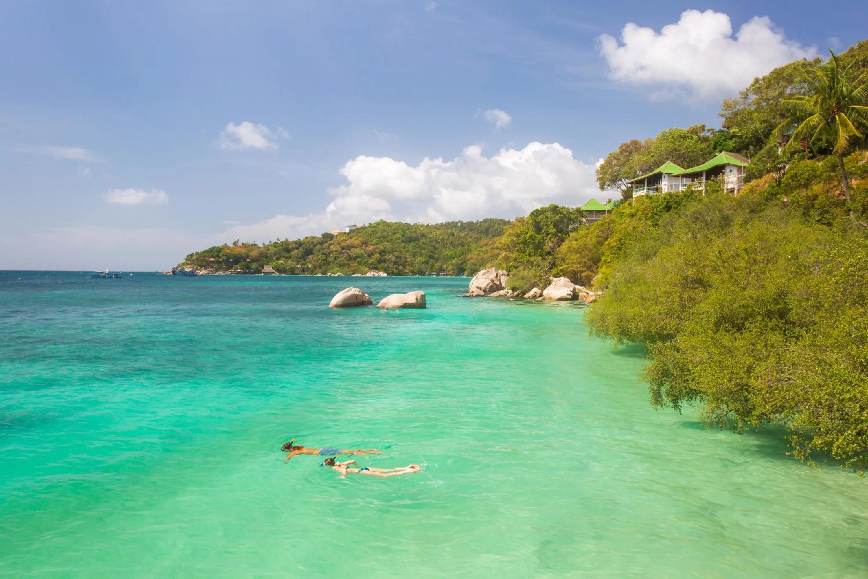 Snorkeling in Koh Tao Relax Freedom Beach Resort