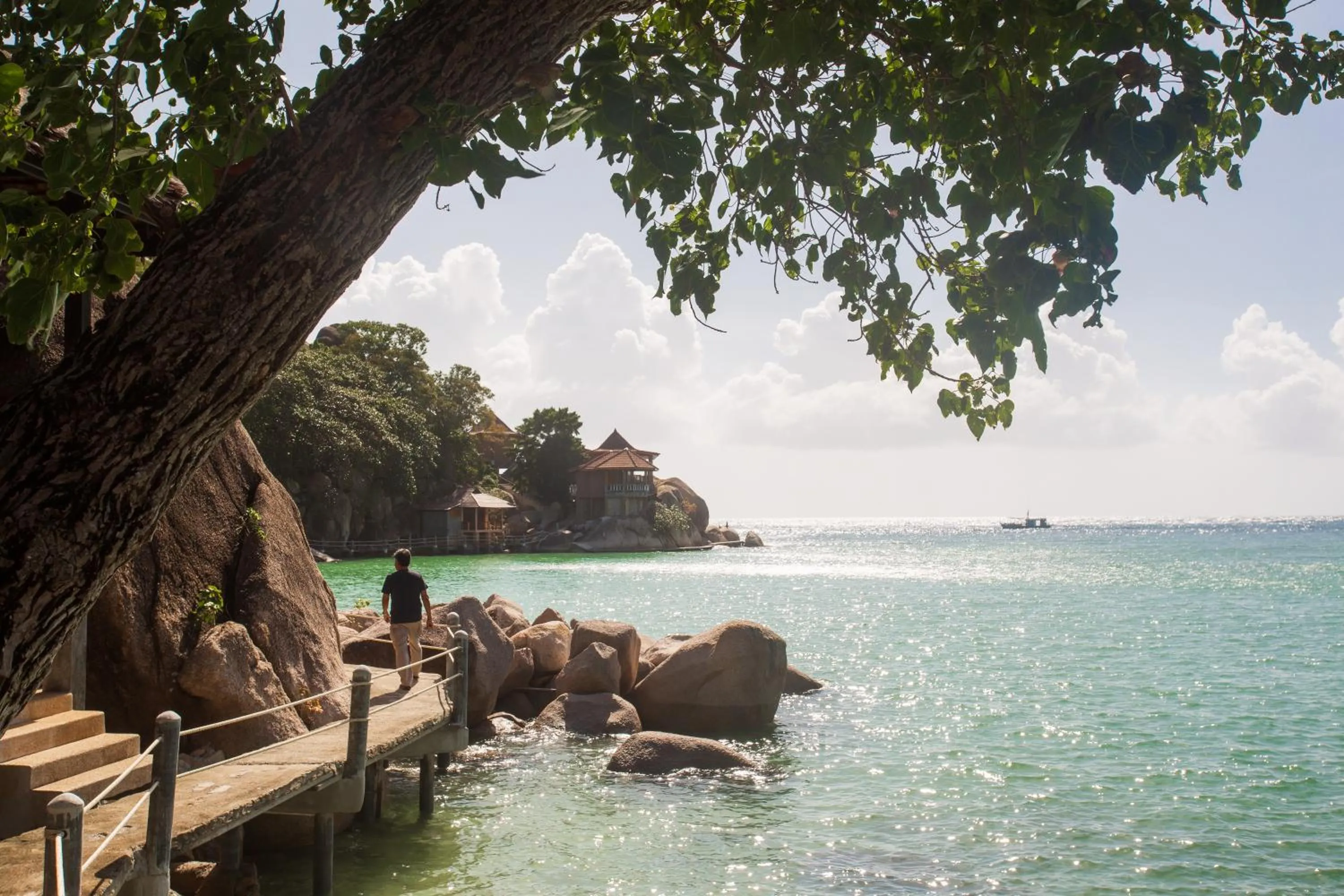 Natural landscape in Koh Tao Relax Freedom Beach Resort