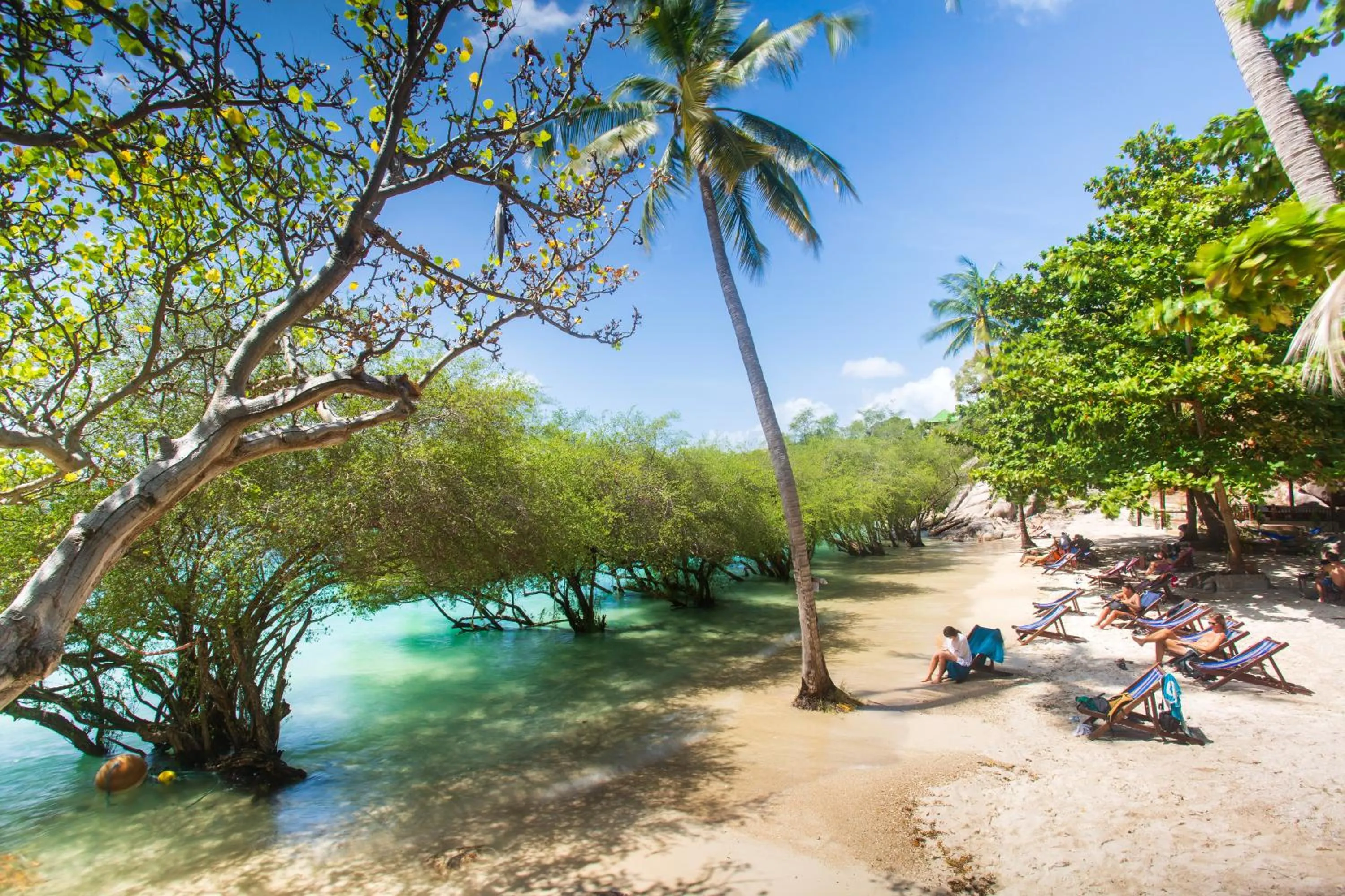 Beach in Koh Tao Relax Freedom Beach Resort
