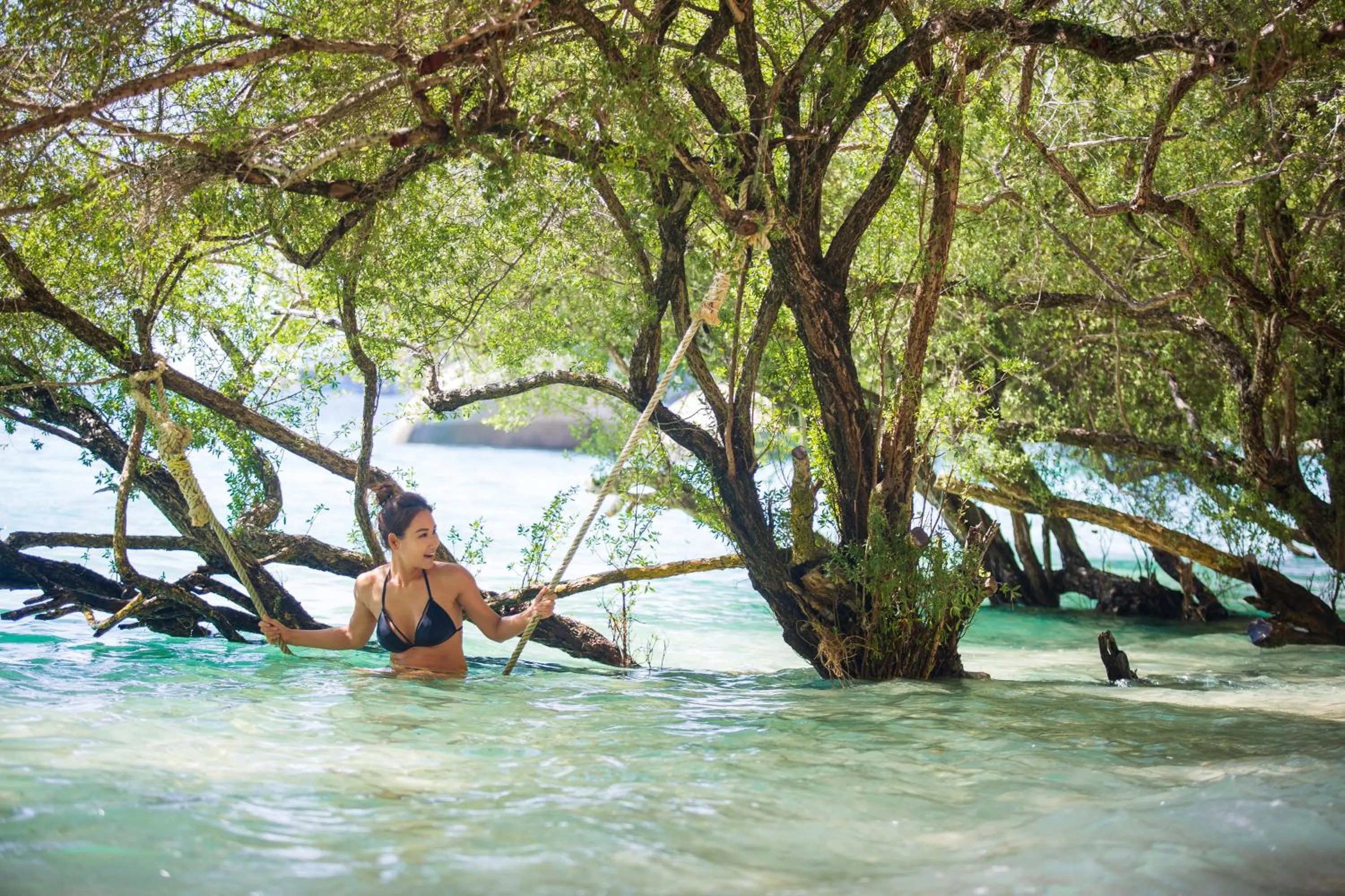 Activities in Koh Tao Relax Freedom Beach Resort