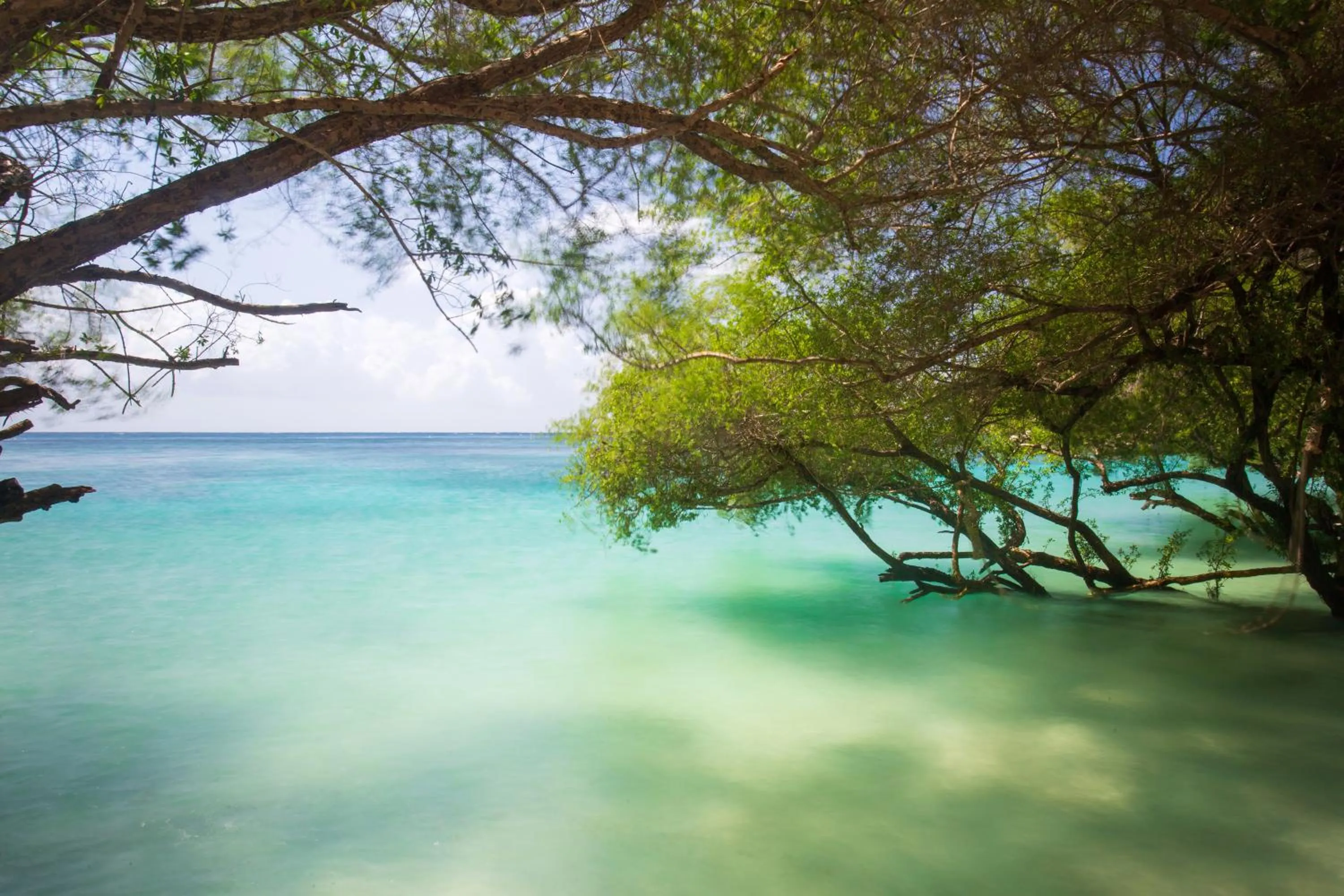 Beach in Koh Tao Relax Freedom Beach Resort
