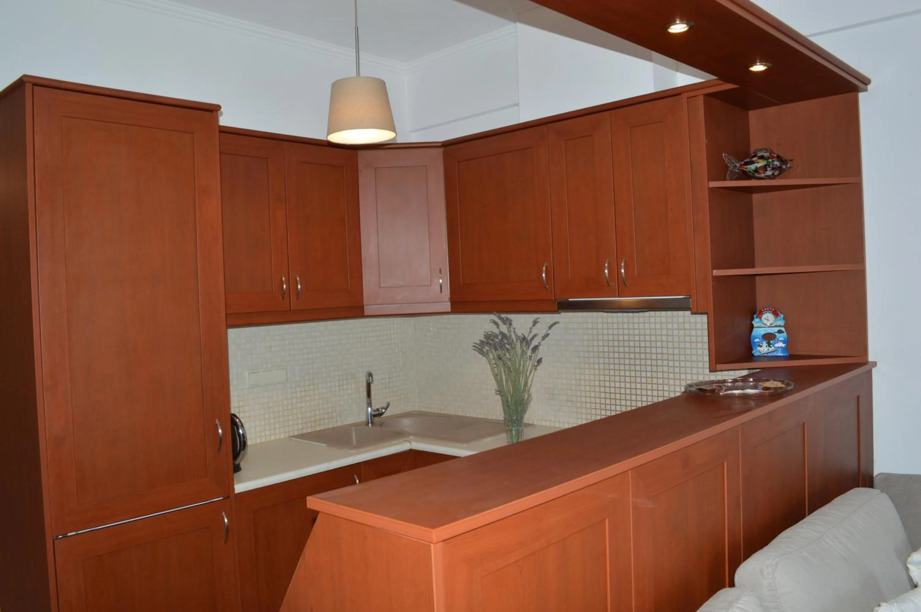 Kitchen or kitchenette in Best House,Appartments,Pylos Messinias
