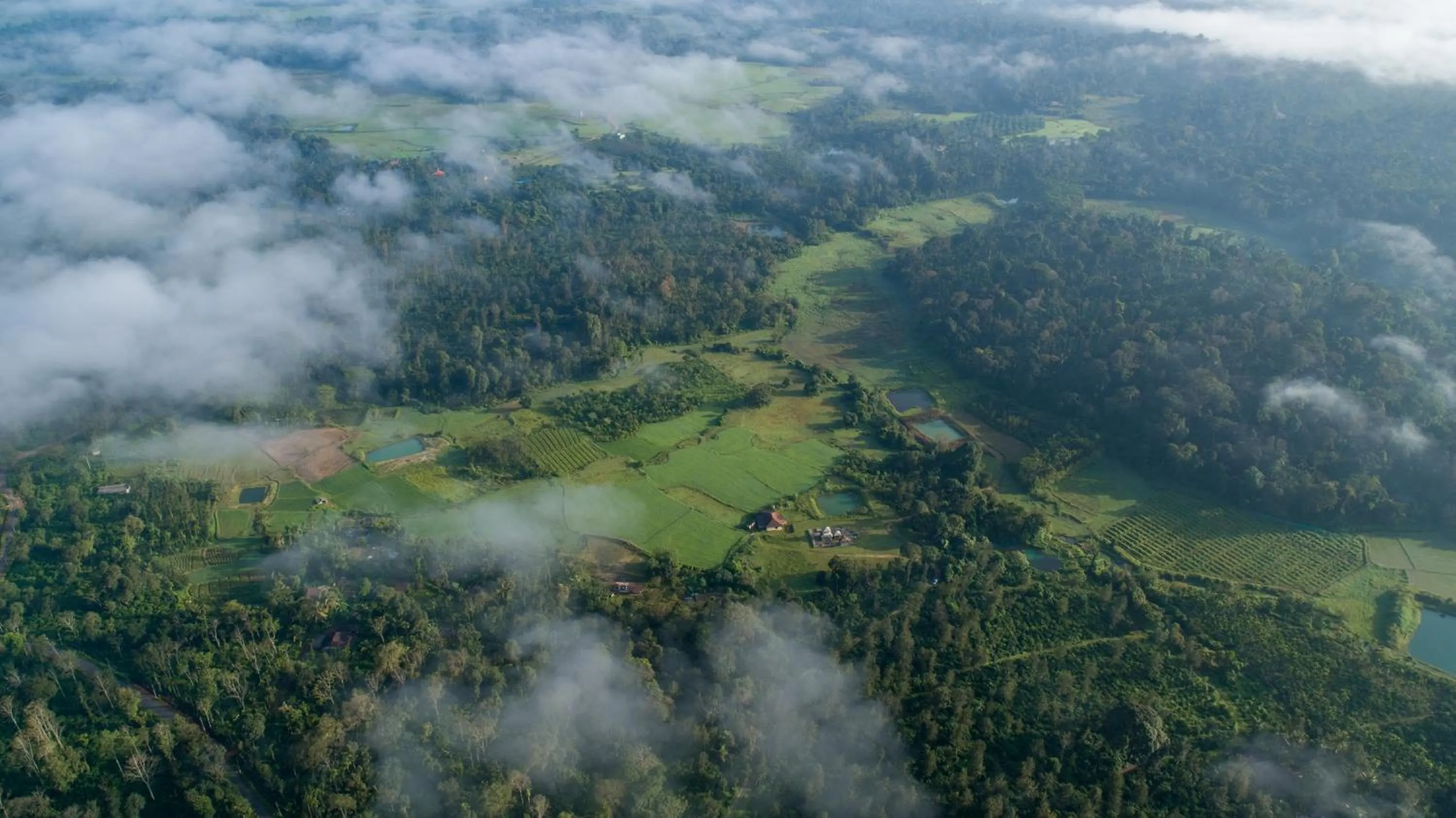 Bird's eye view in Amritara Ambatty Greens Resort